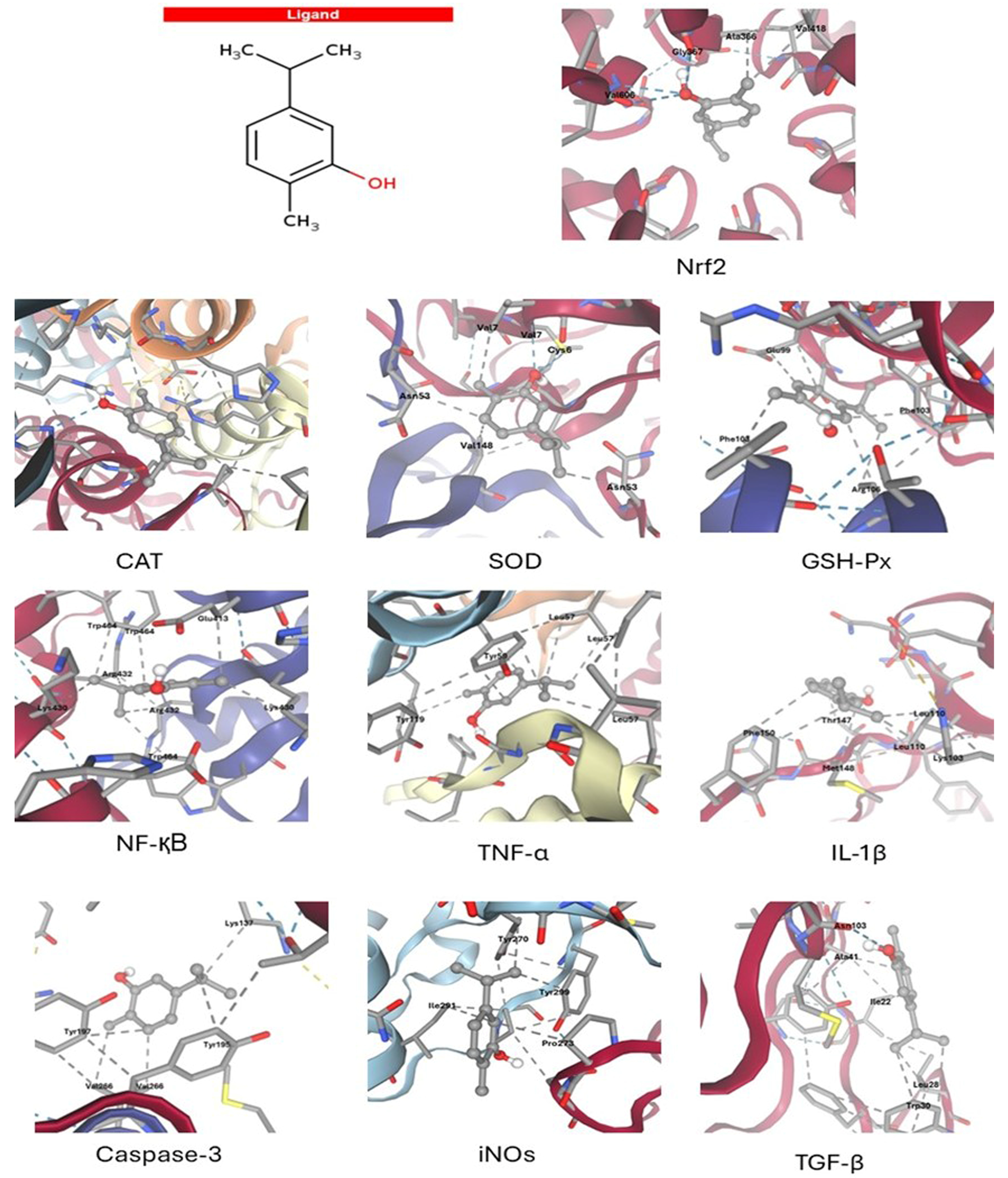 Antioxidants 14 01432 g004