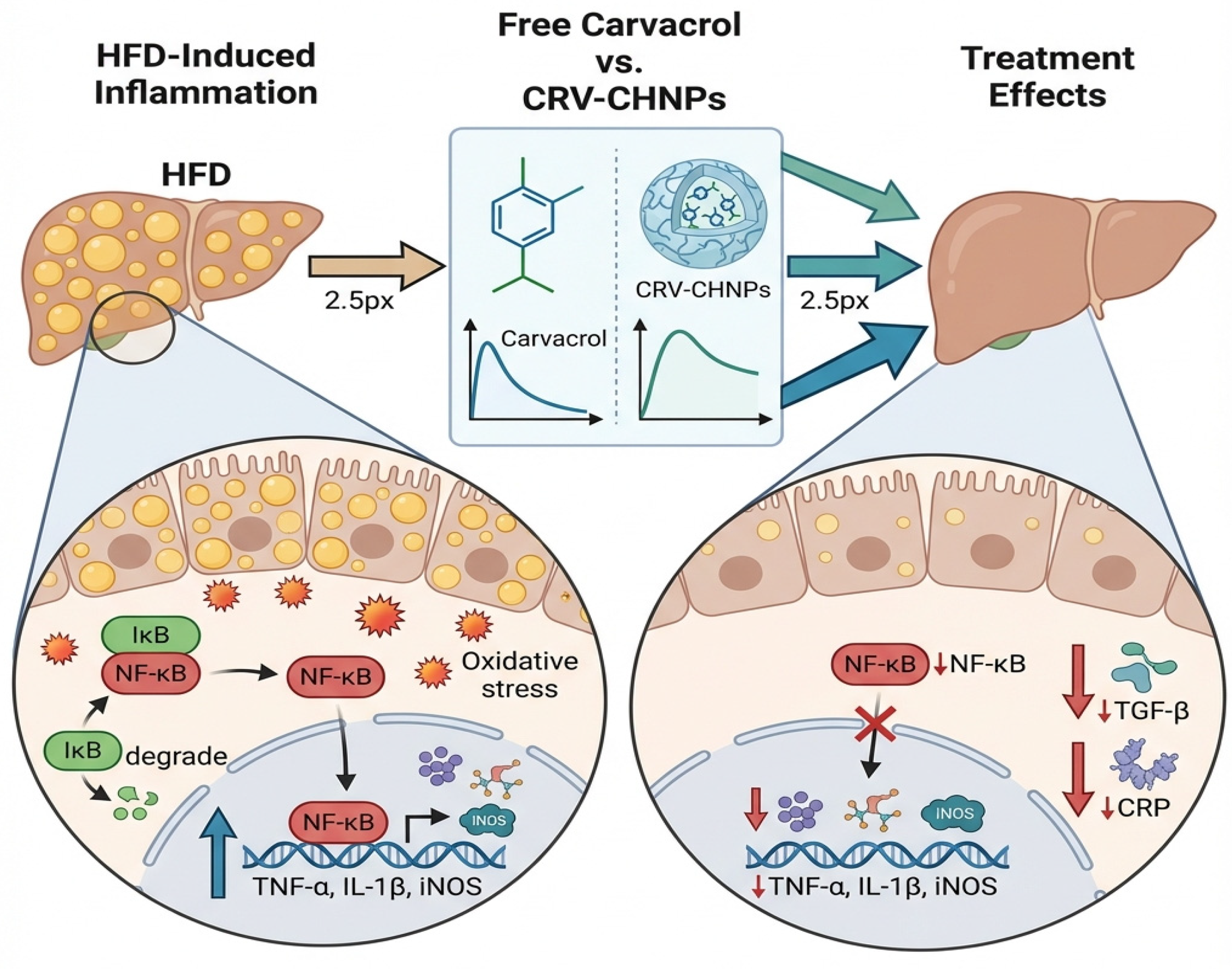 Antioxidants 14 01432 g016