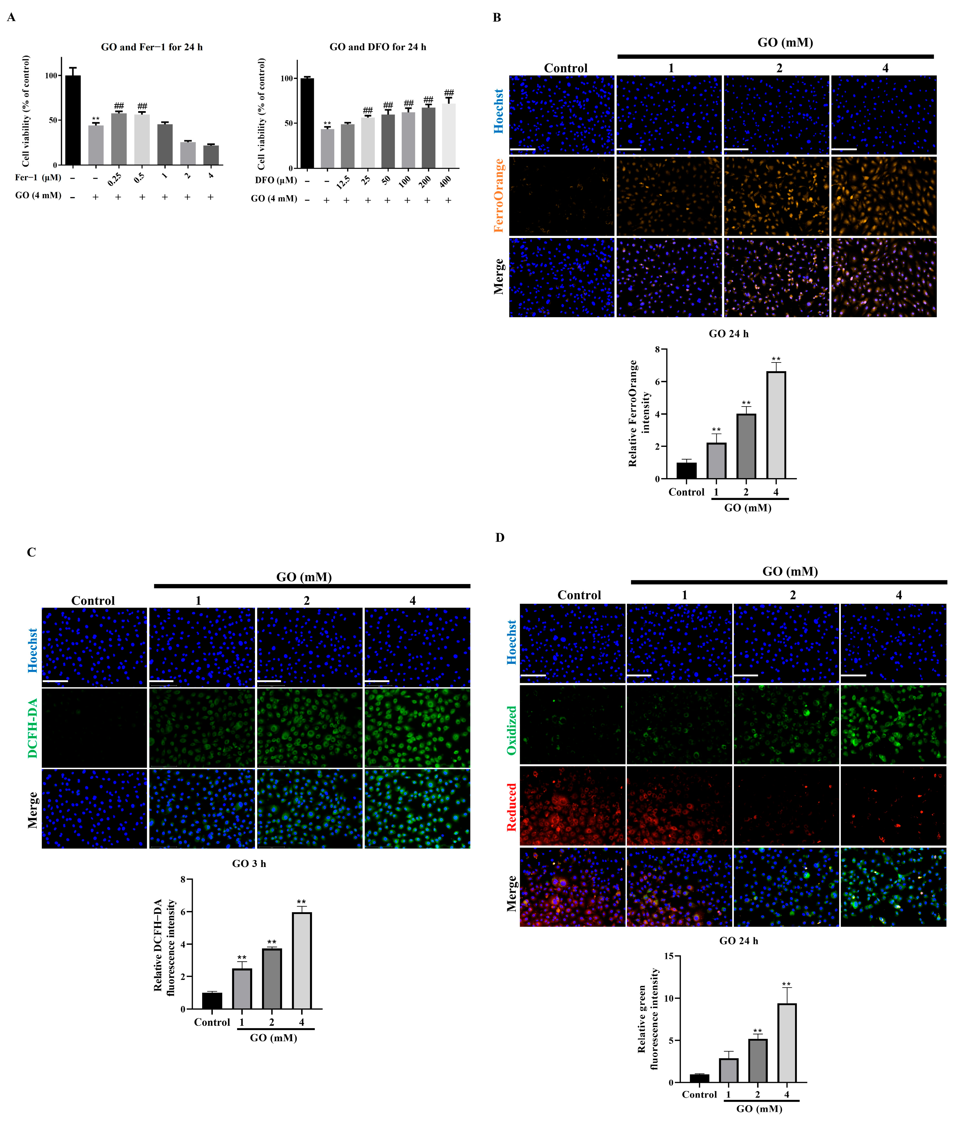 Antioxidants 14 01434 g002 Antioxidants 14 01434 g002