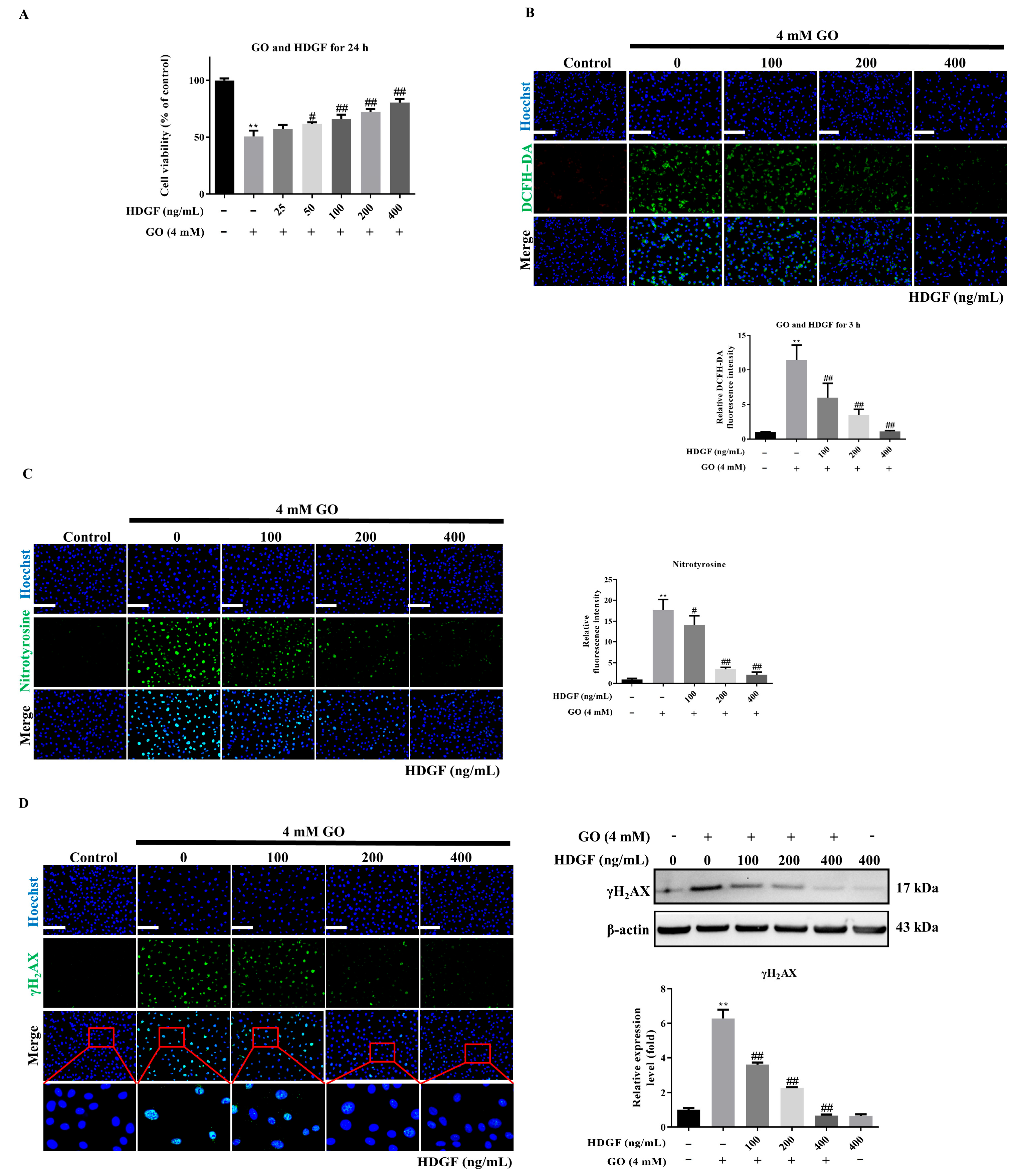 Antioxidants 14 01434 g004 Antioxidants 14 01434 g004