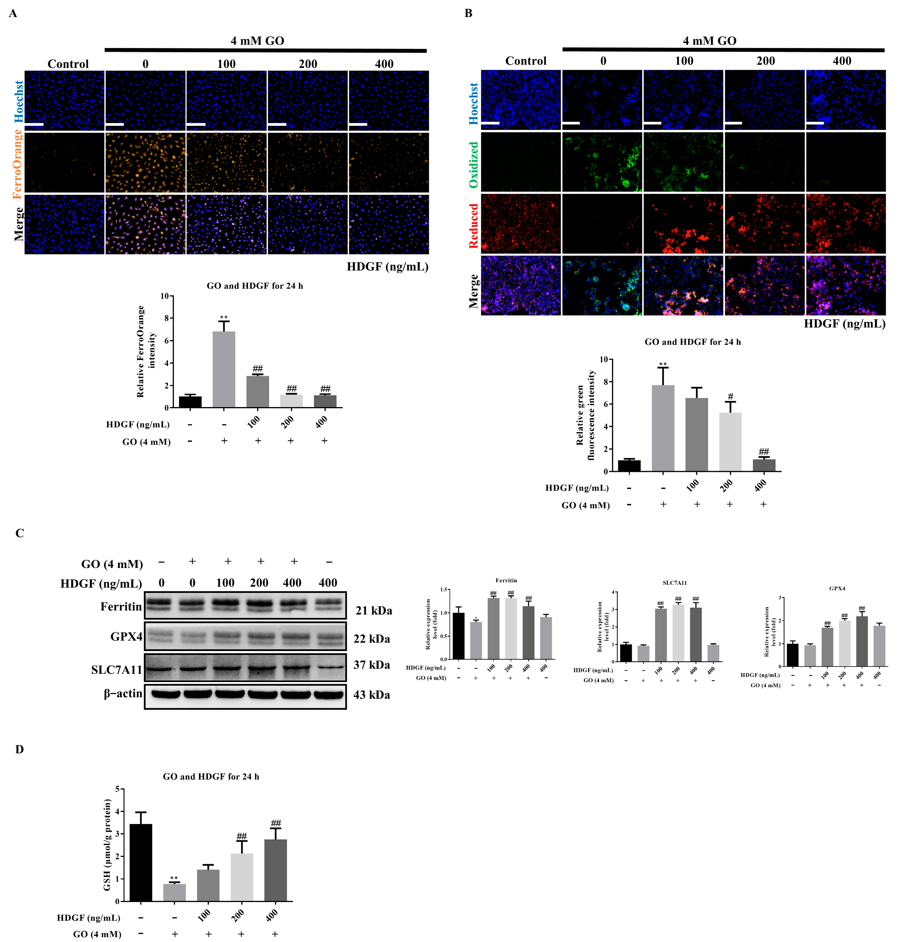 Antioxidants 14 01434 g007 Antioxidants 14 01434 g007