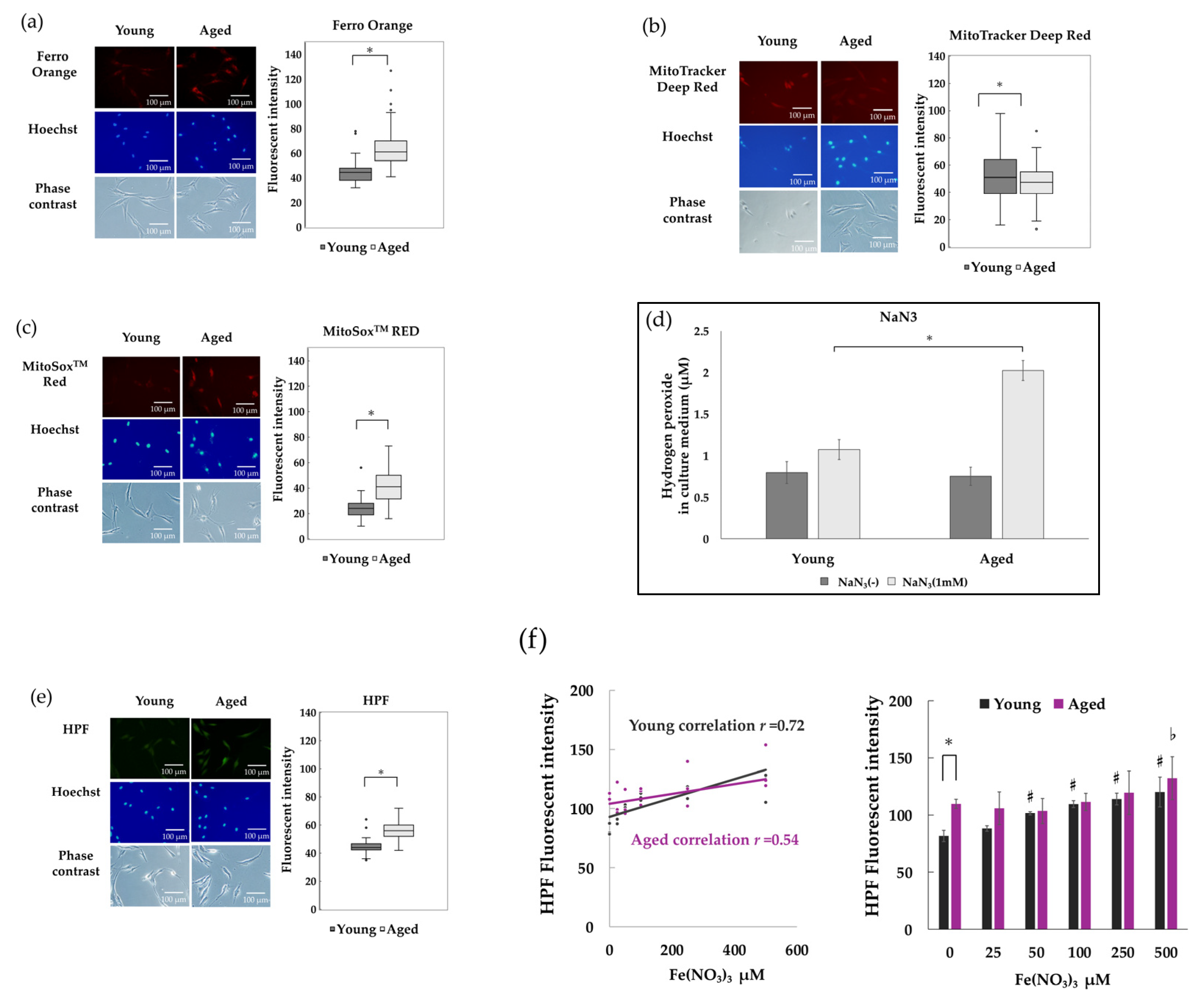 Antioxidants 14 01437 g003