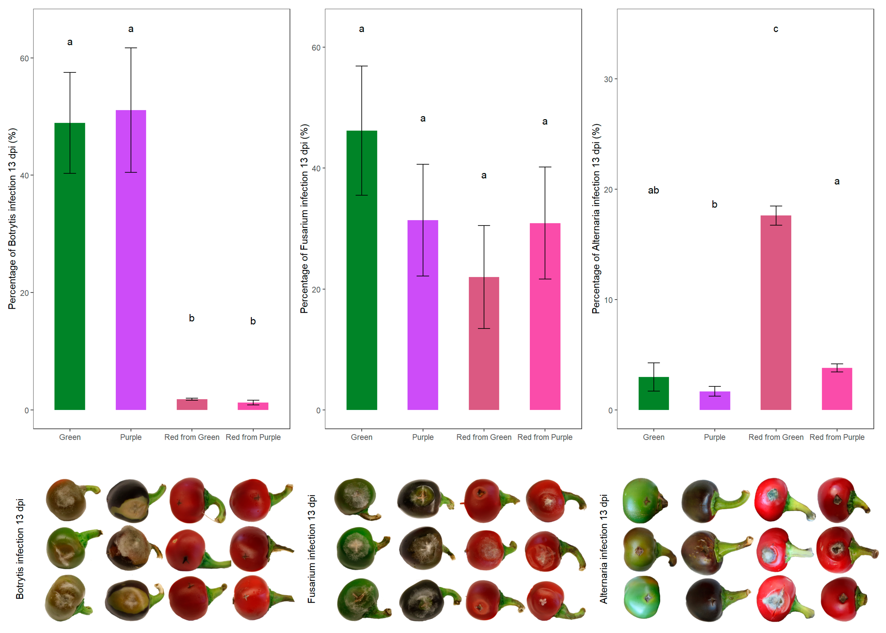 Antioxidants 14 01440 g002