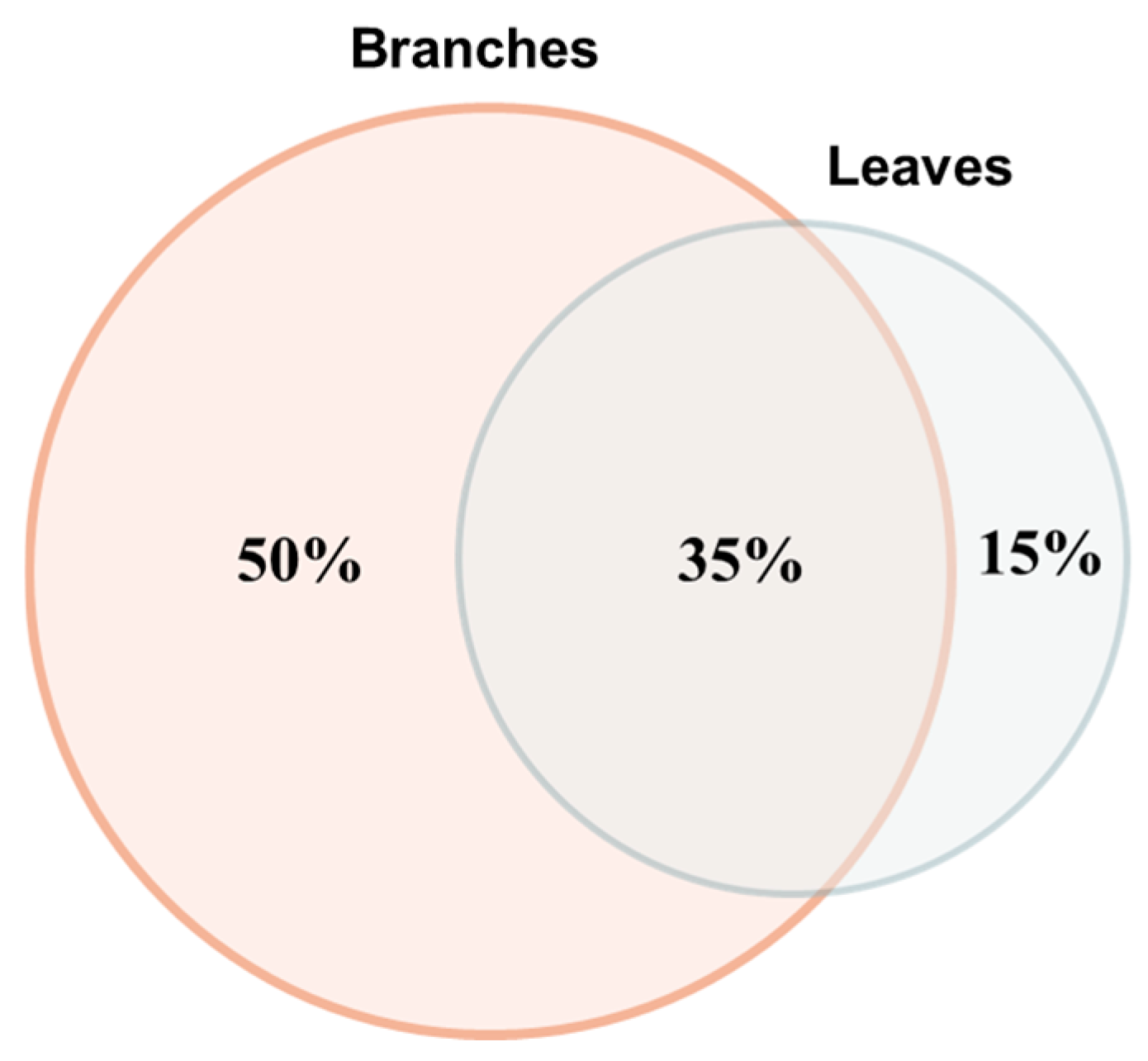 Antioxidants 14 01441 g002