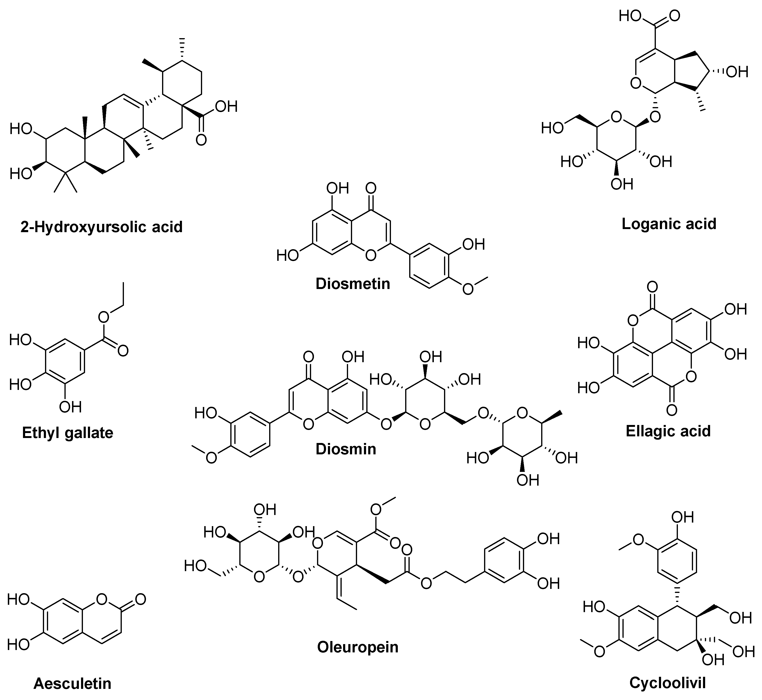 Antioxidants 14 01441 g003