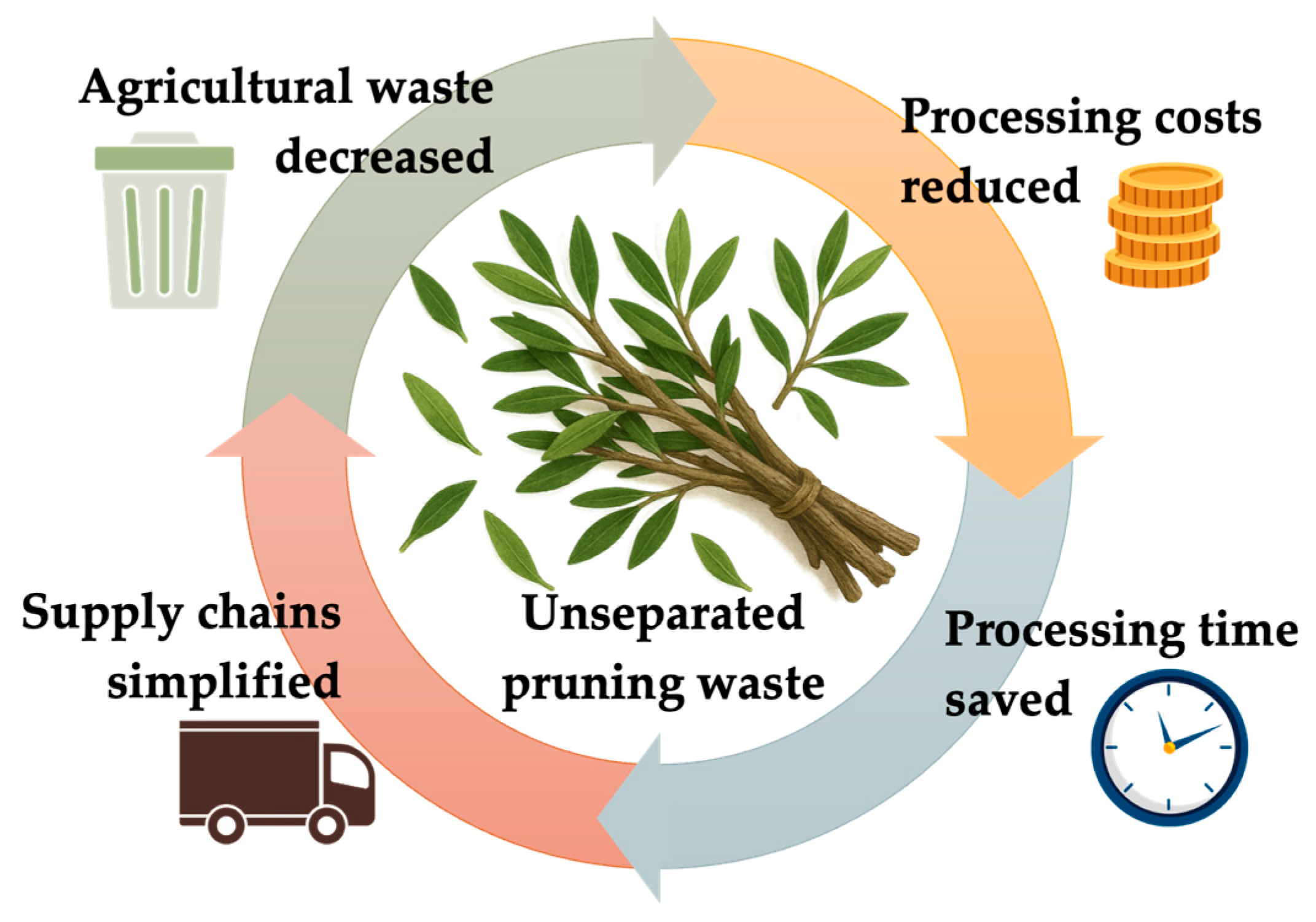 Antioxidants 14 01441 g011