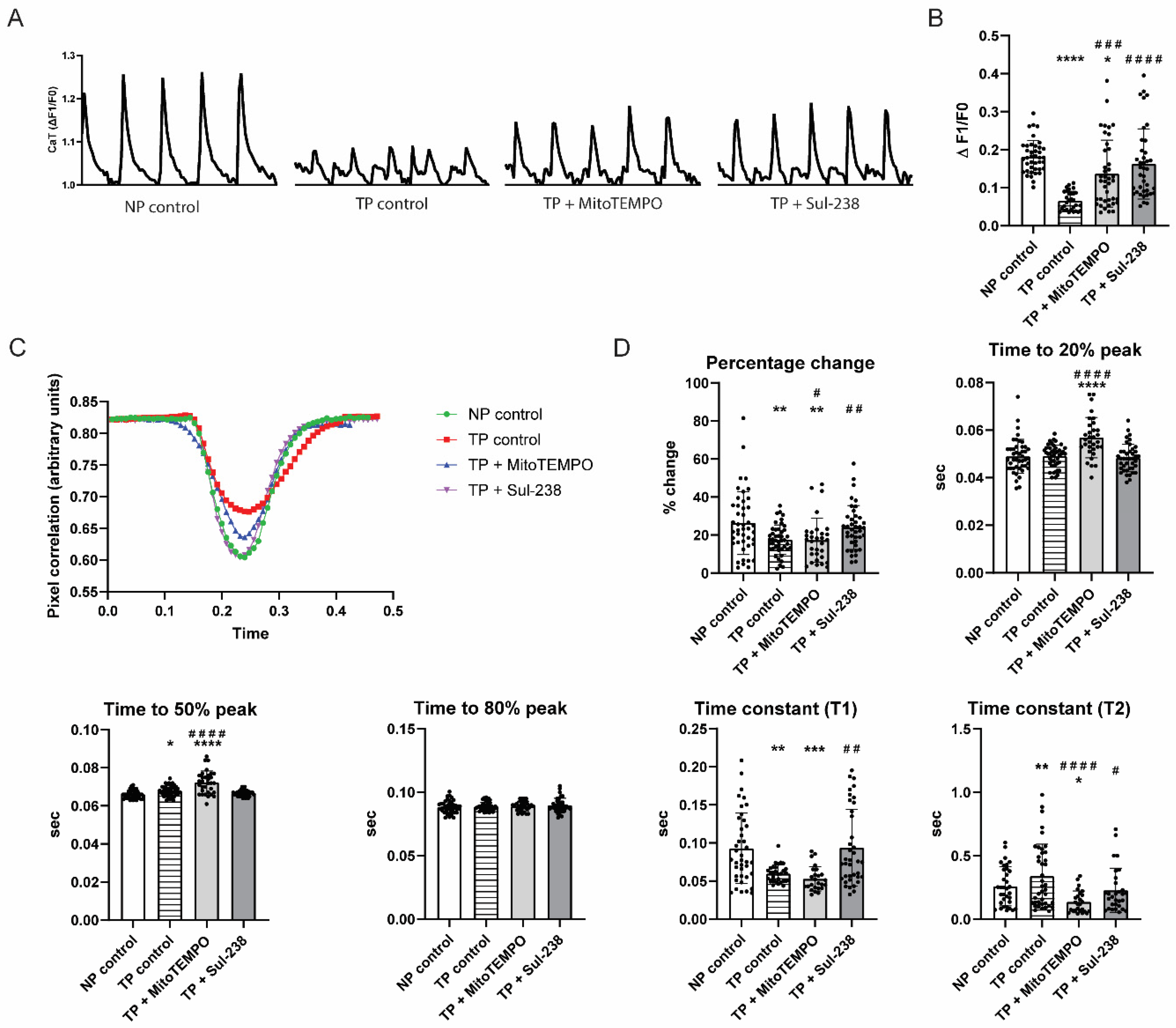 Antioxidants 14 01444 g001 Antioxidants 14 01444 g001