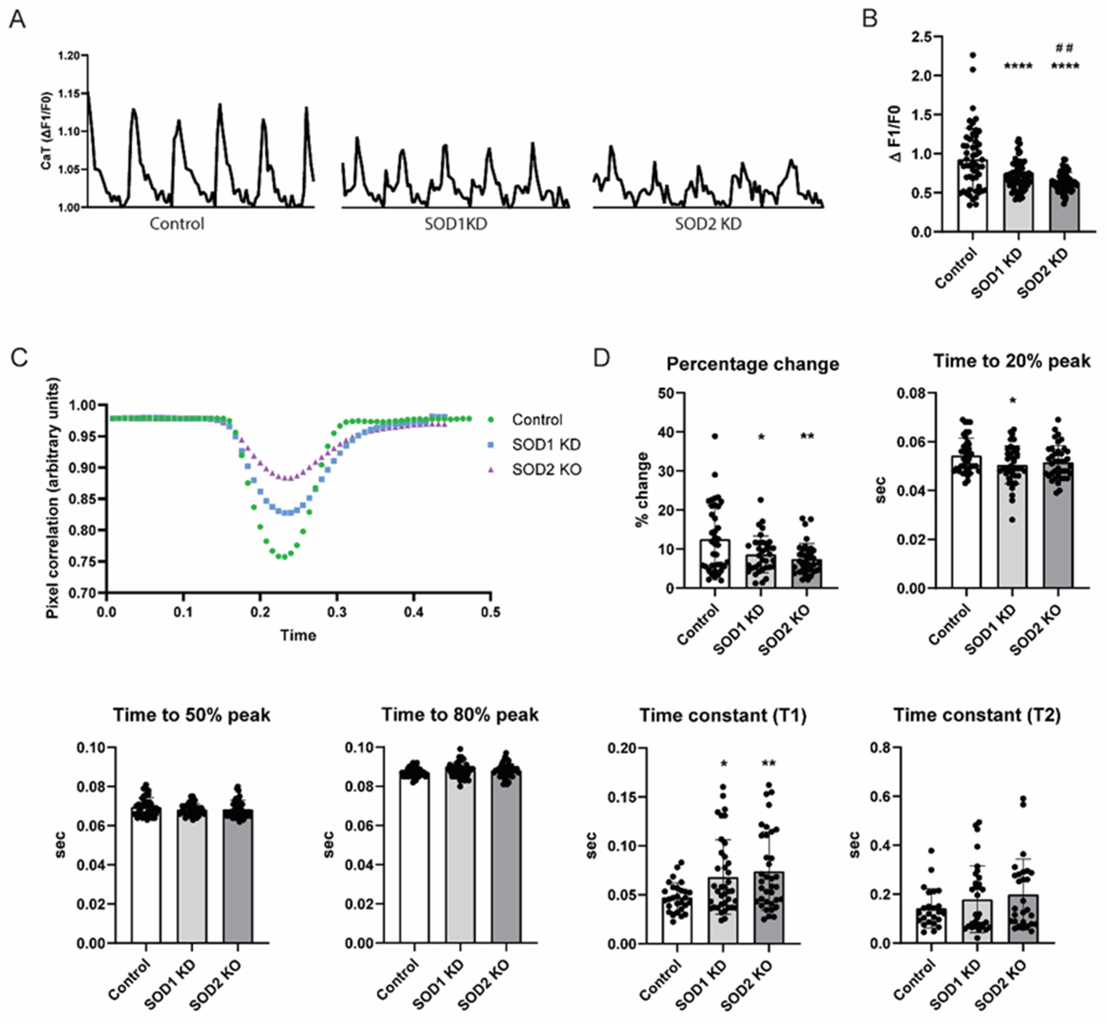 Antioxidants 14 01444 g004 Antioxidants 14 01444 g004