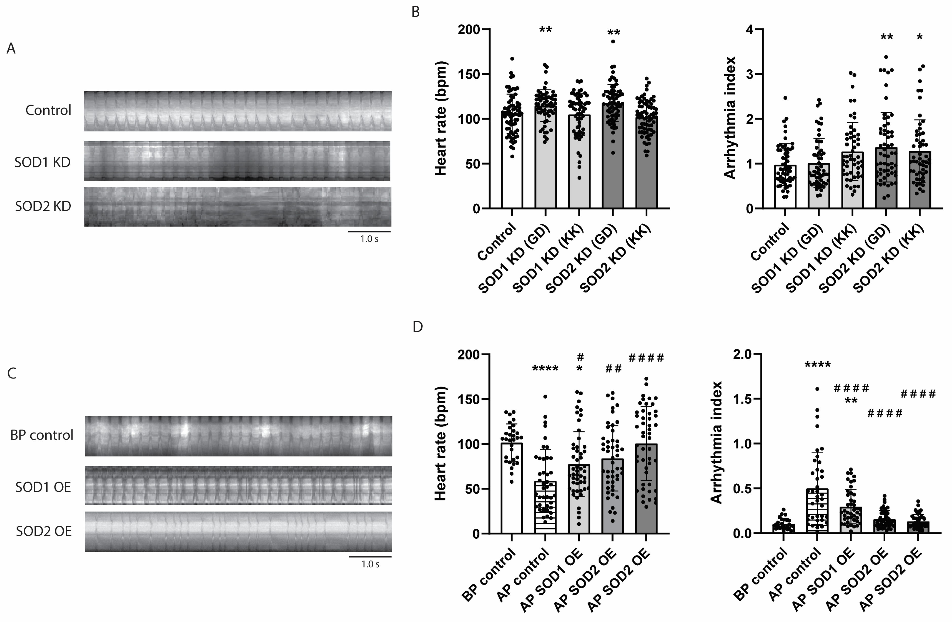Antioxidants 14 01444 g006 Antioxidants 14 01444 g006