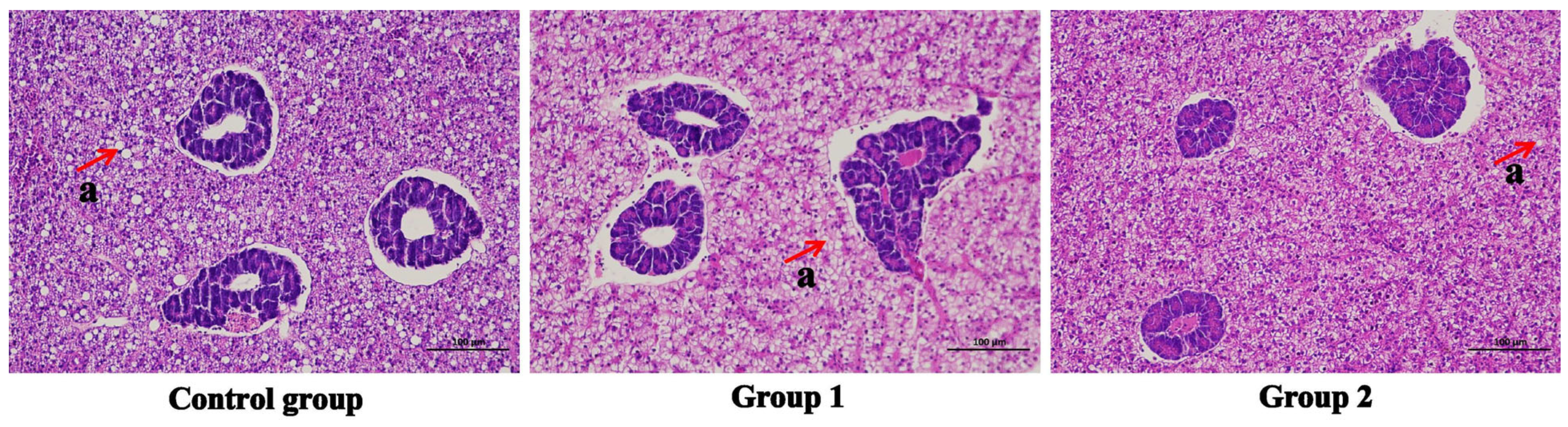 Antioxidants 14 01446 g002