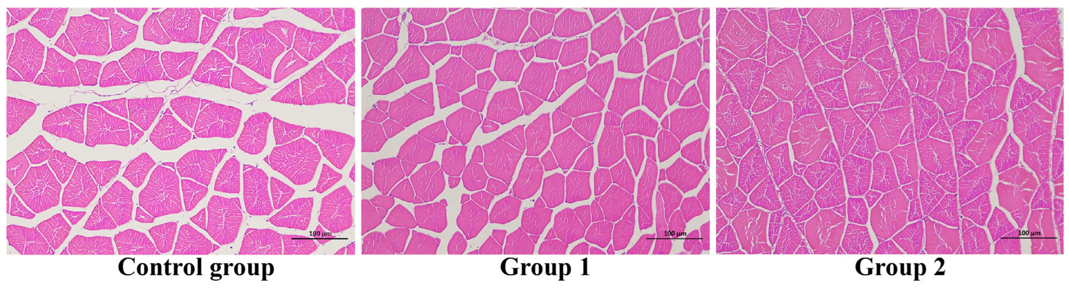 Antioxidants 14 01446 g003