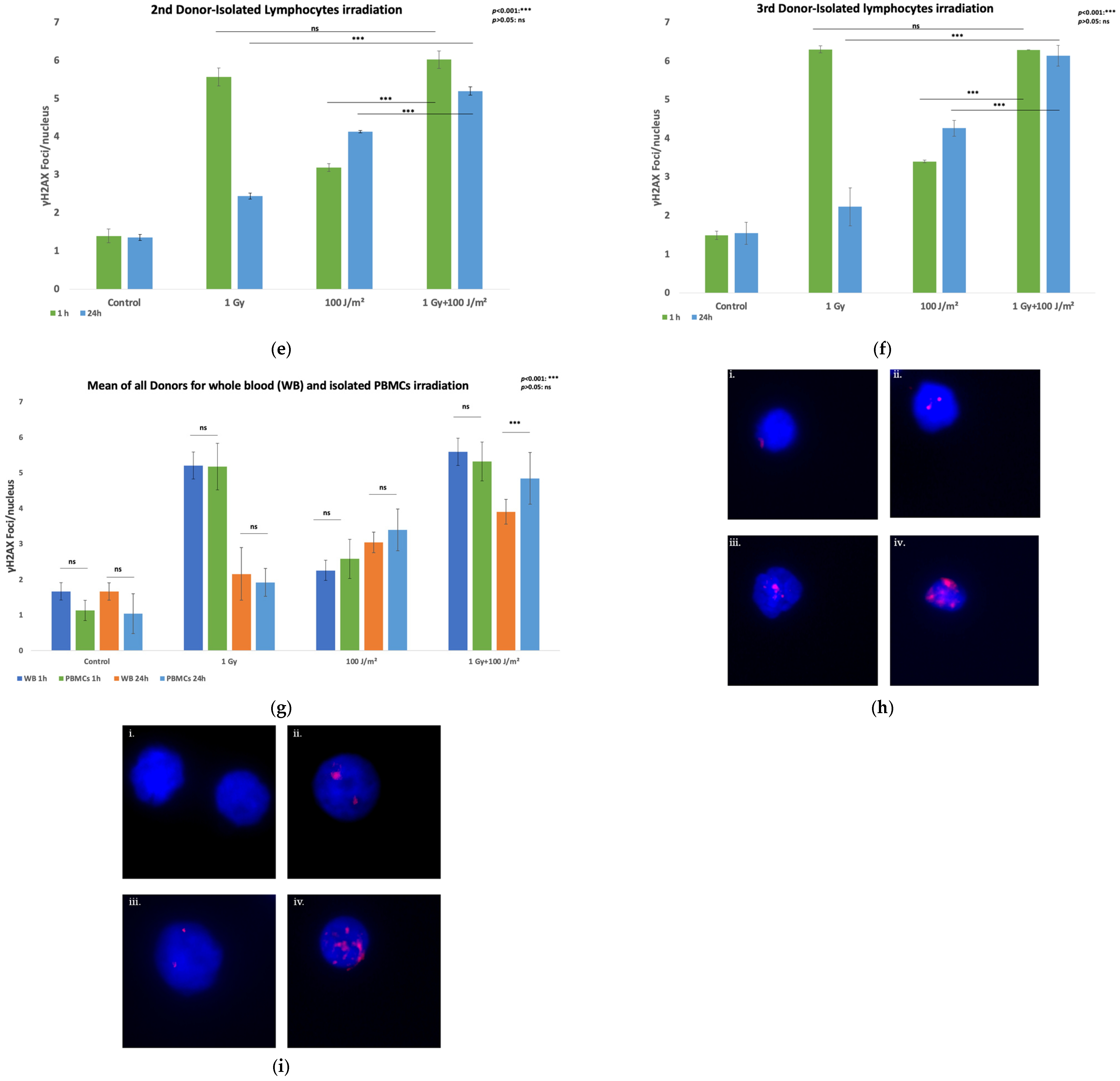 Antioxidants 14 01451 g001b