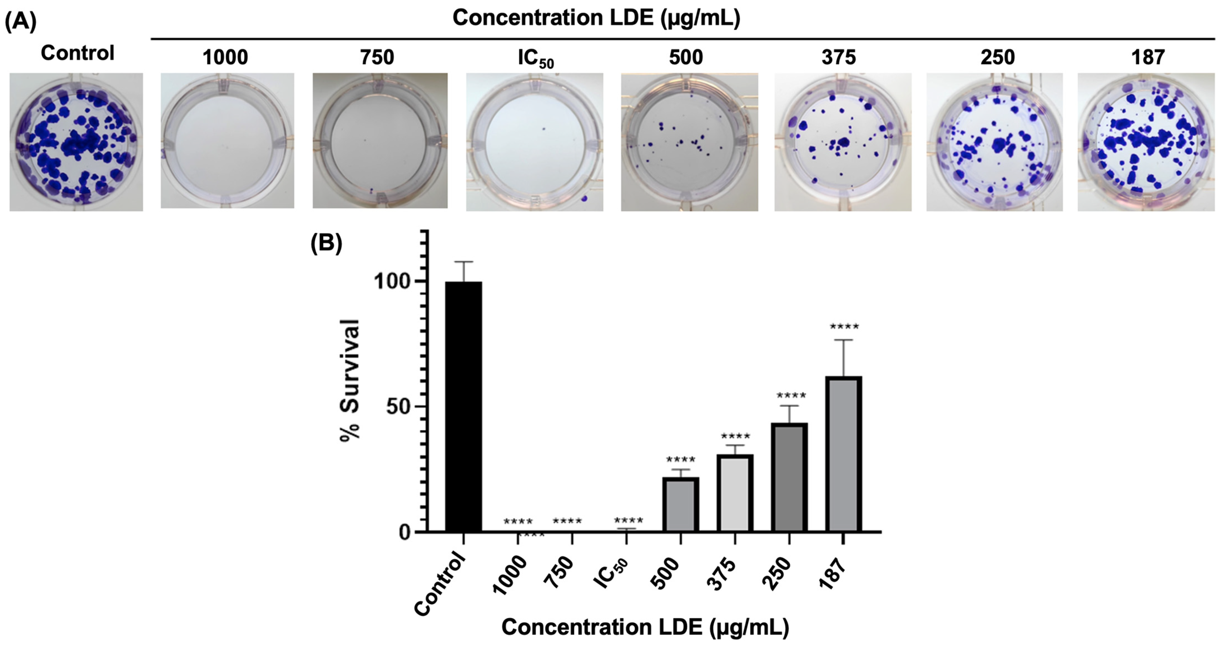 Antioxidants 14 01452 g003