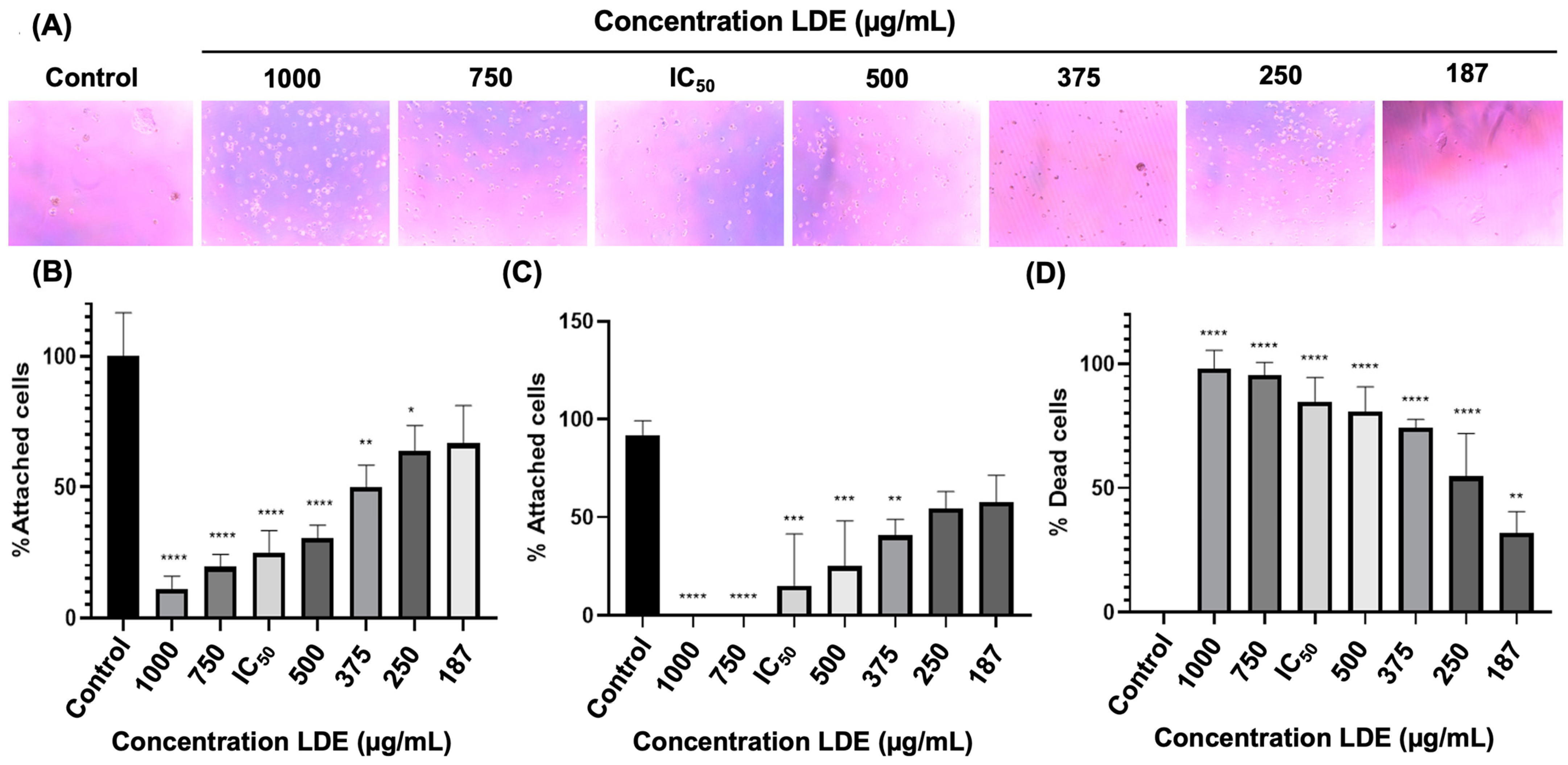 Antioxidants 14 01452 g004