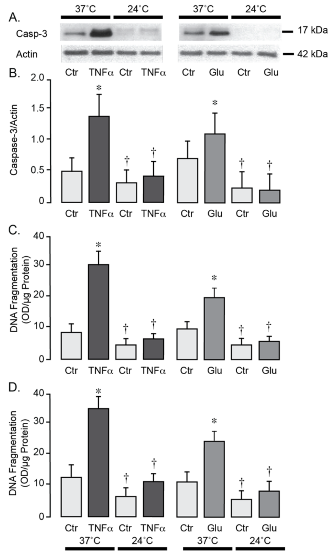 Antioxidants 14 01454 g006