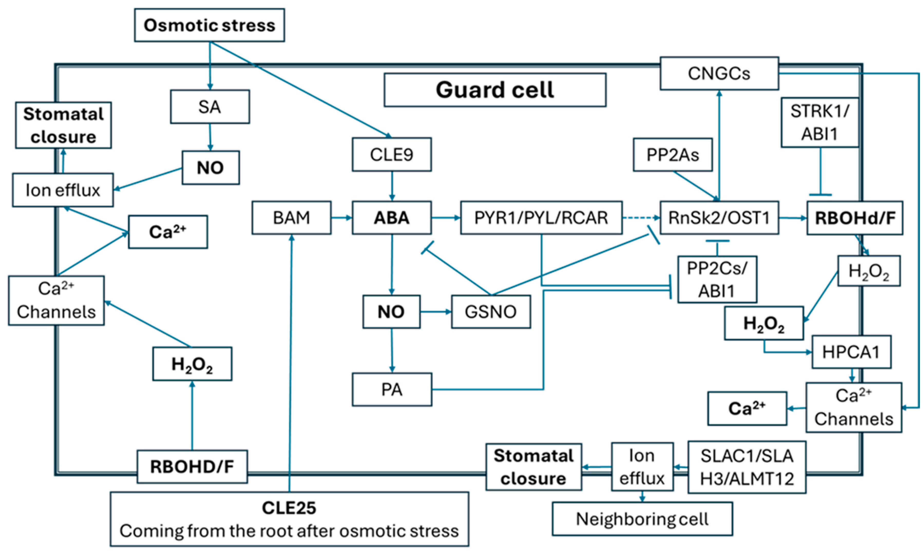 Antioxidants 14 01455 g002