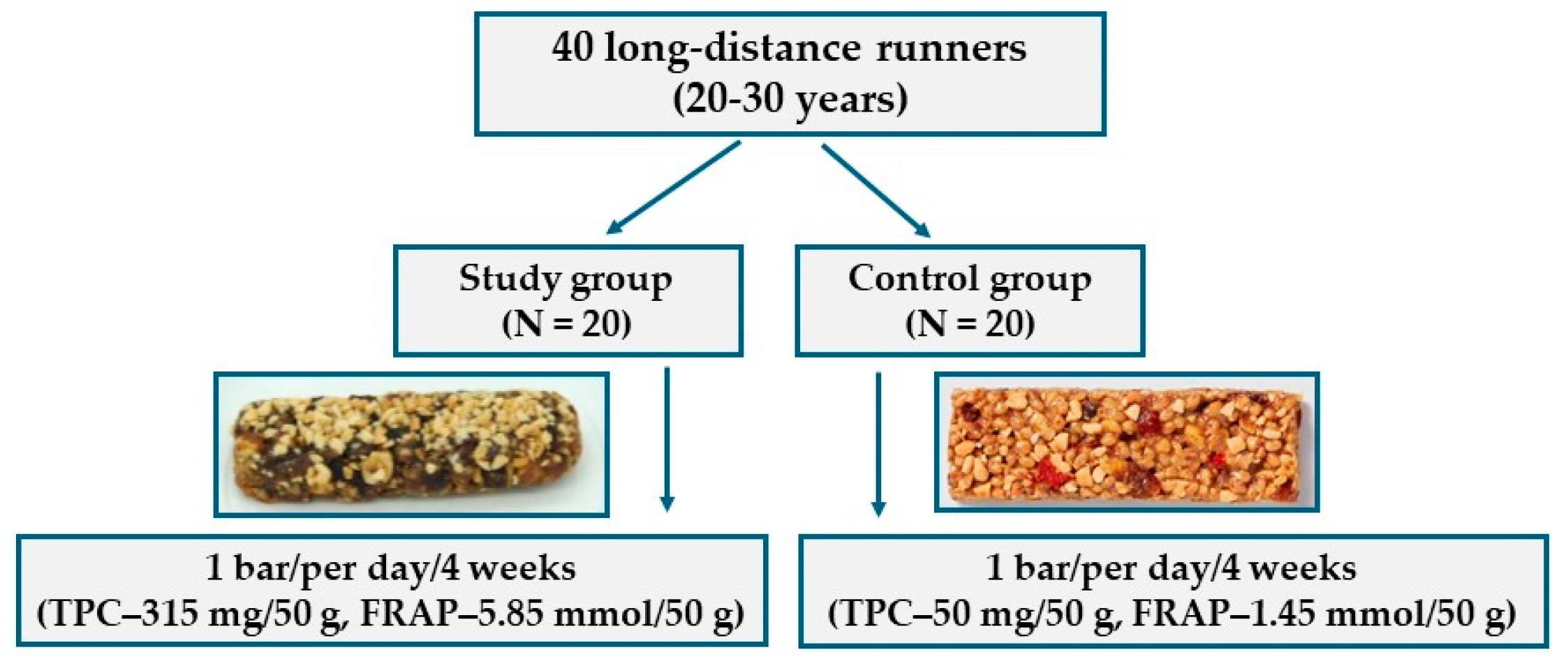 Antioxidants 14 01457 g001