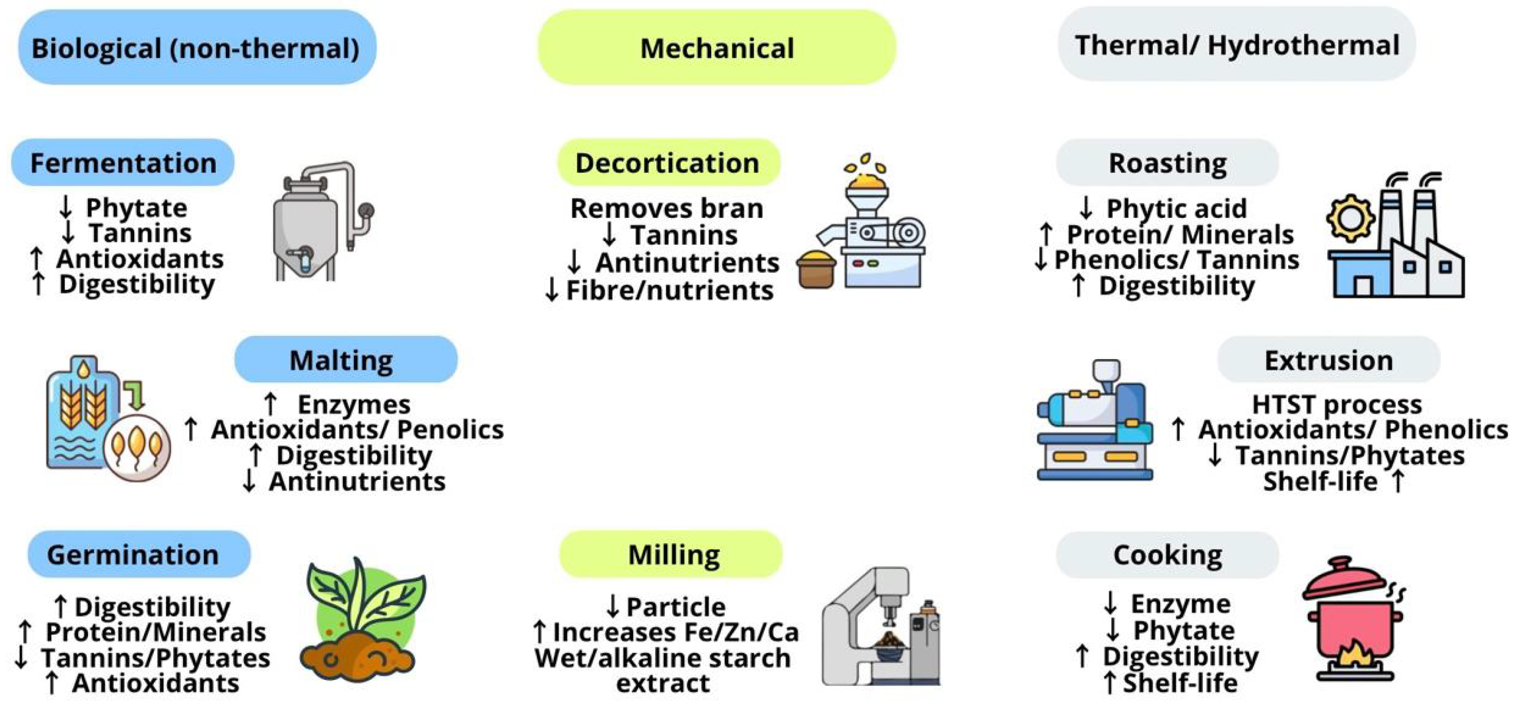 Antioxidants 14 01460 g001
