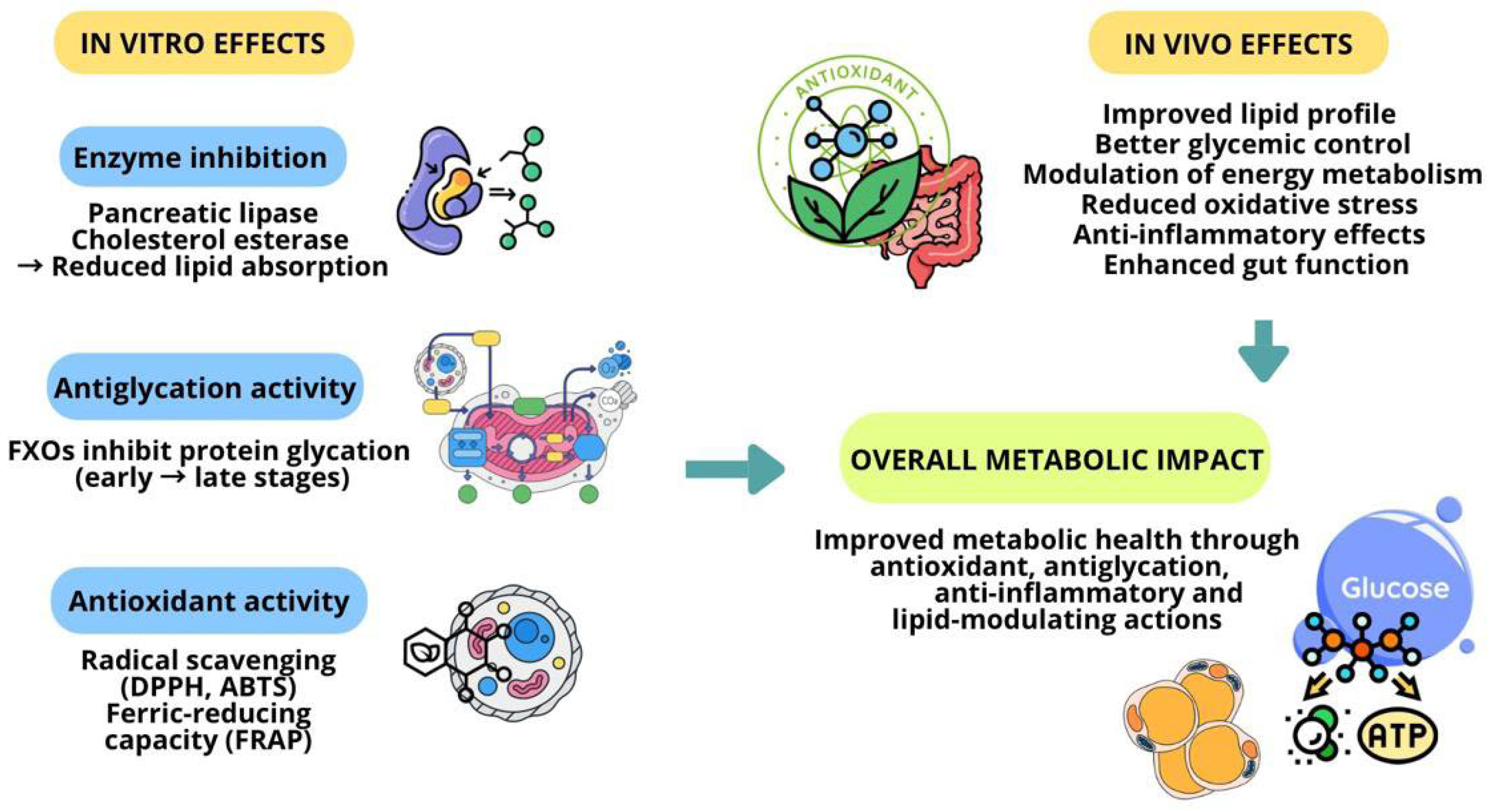Antioxidants 14 01460 g002