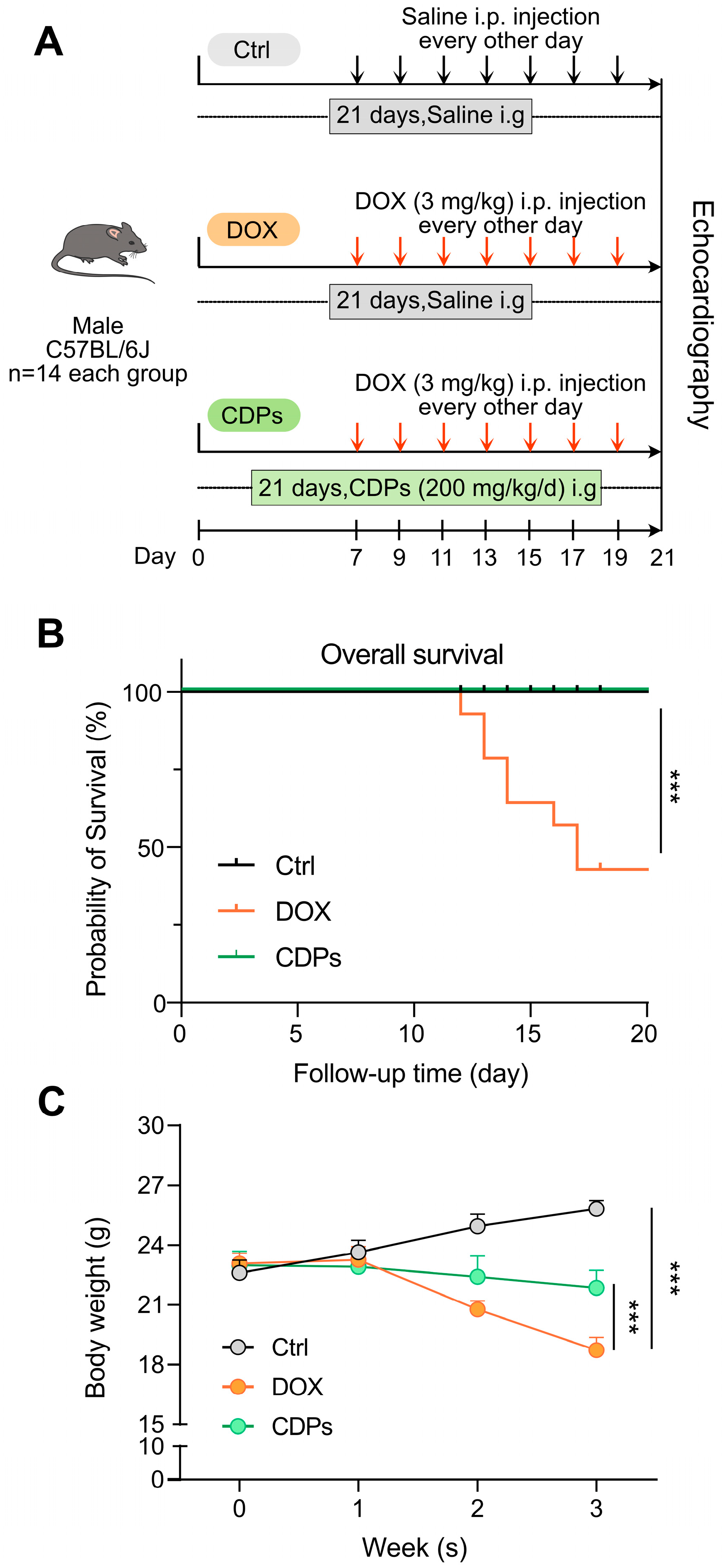 Antioxidants 14 01461 g001