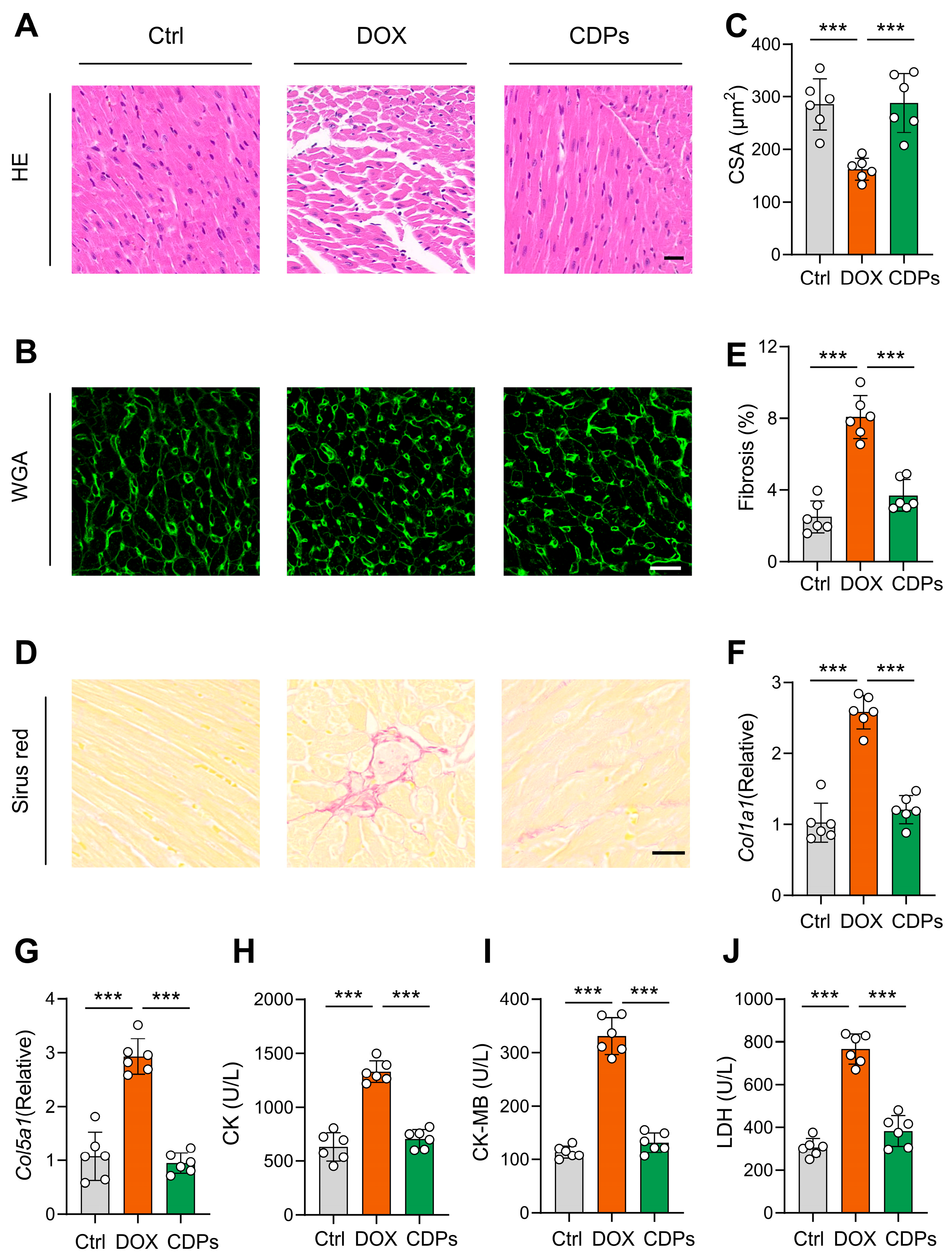Antioxidants 14 01461 g003