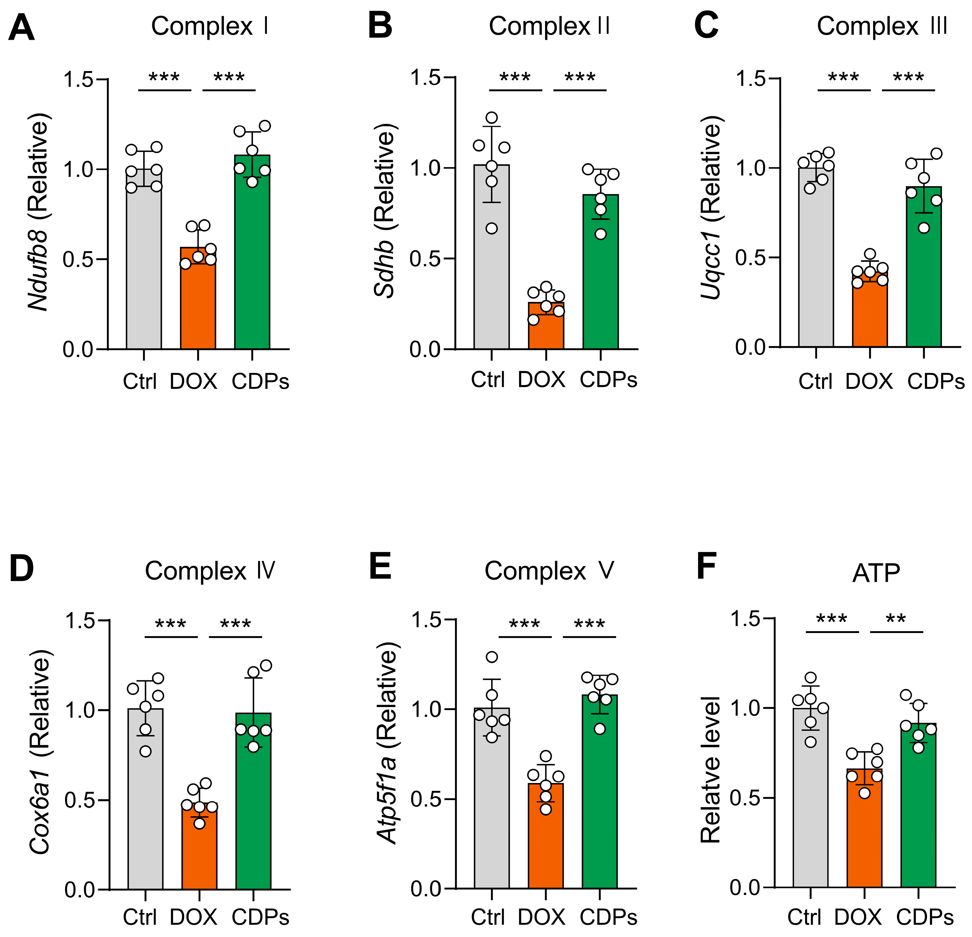 Antioxidants 14 01461 g006