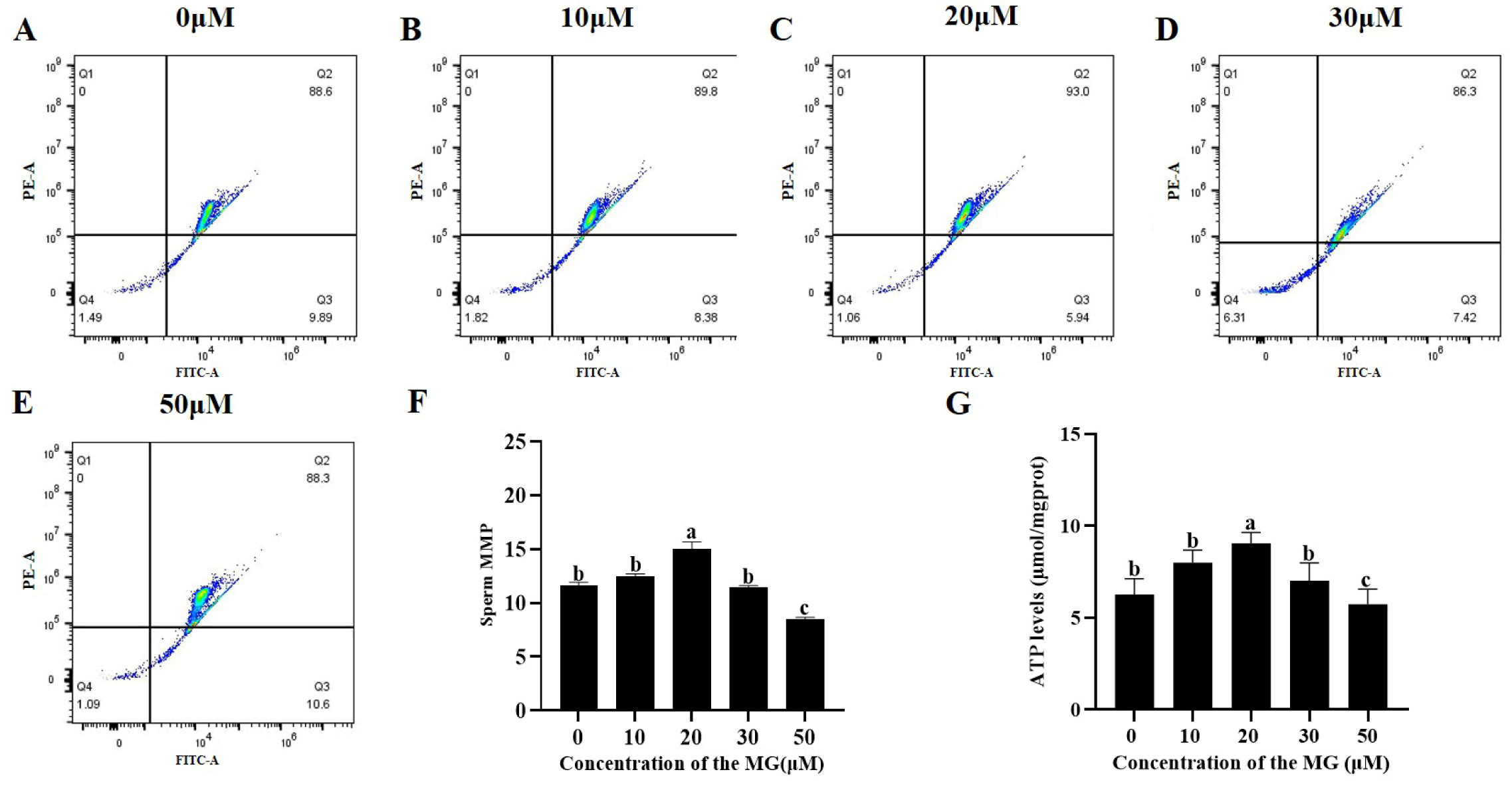 Antioxidants 14 01465 g002 Antioxidants 14 01465 g002