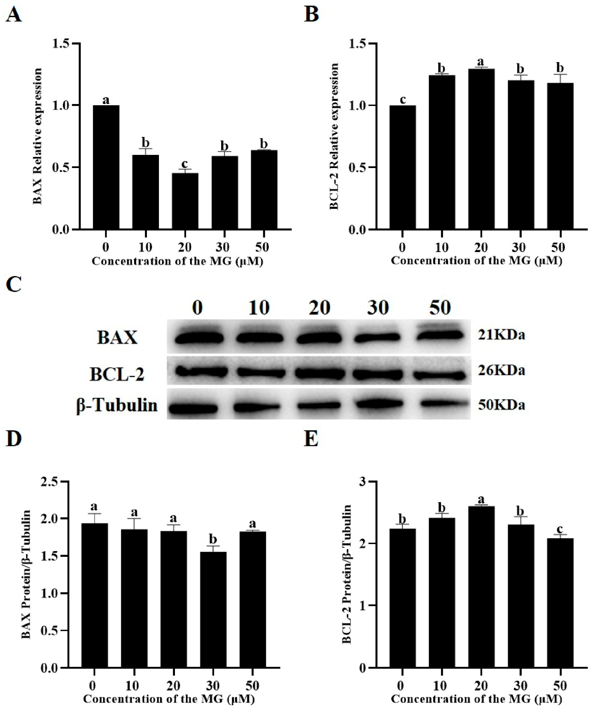 Antioxidants 14 01465 g006 Antioxidants 14 01465 g006