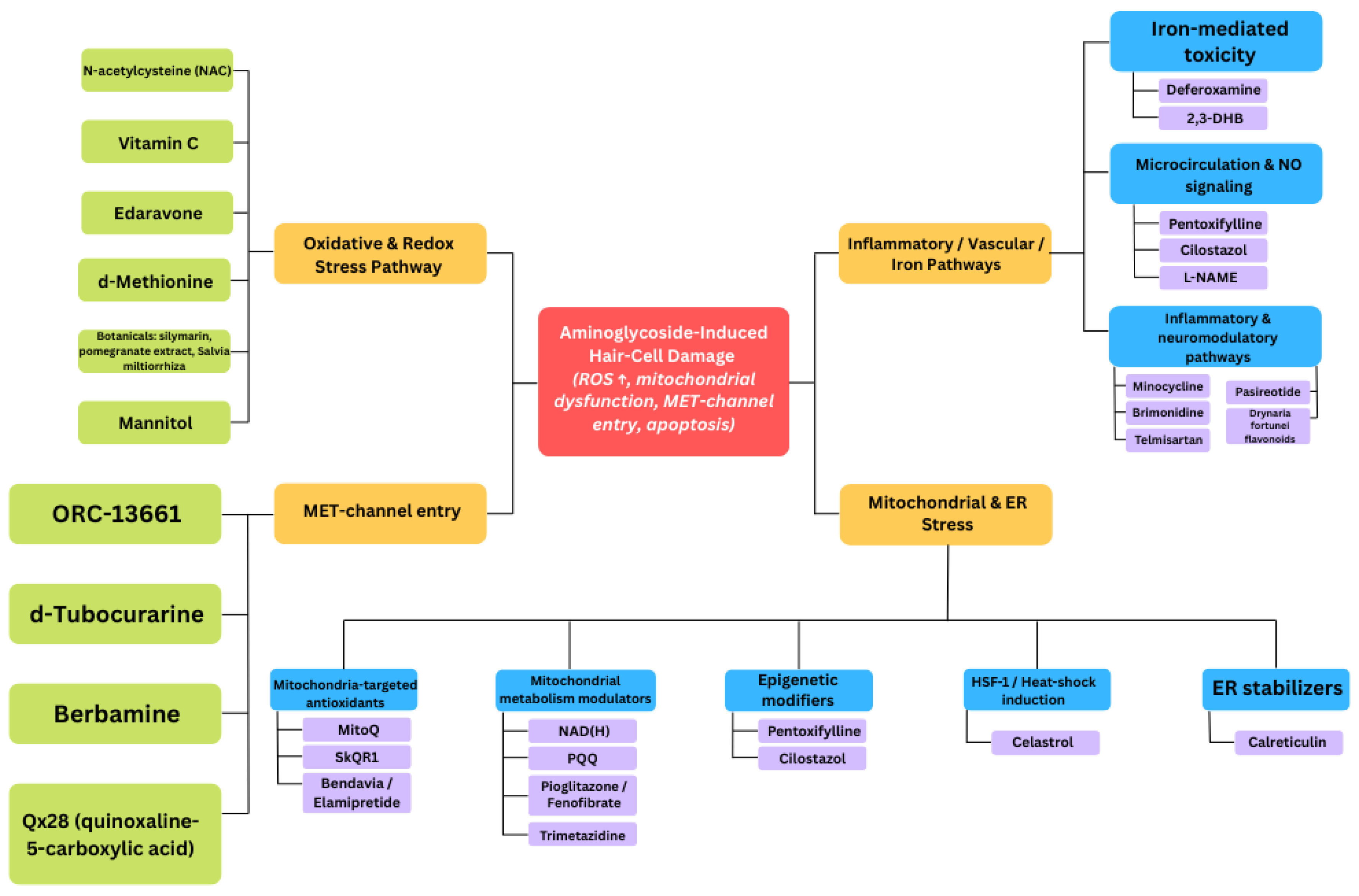 Antioxidants 14 01467 g002