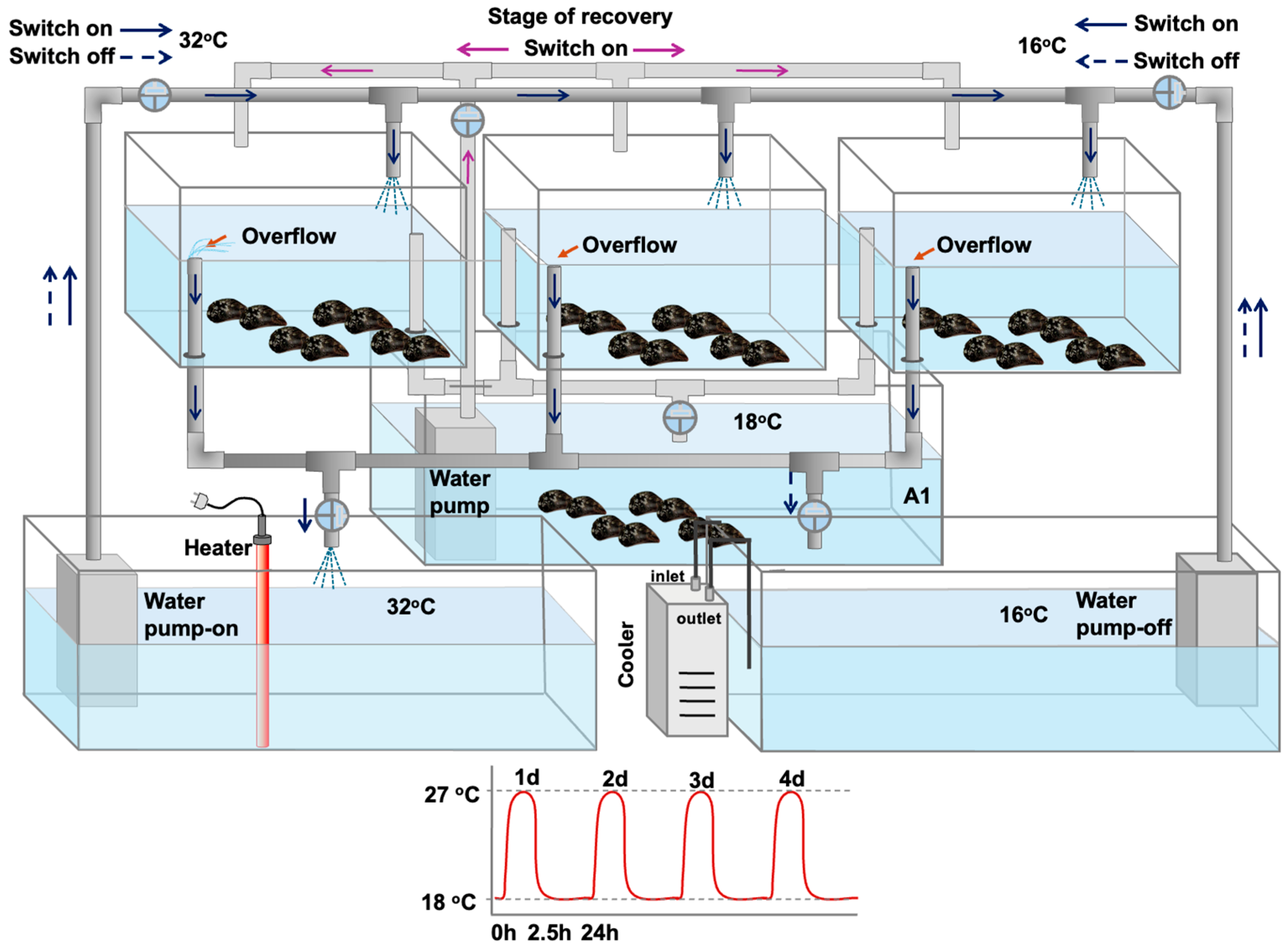 Antioxidants 14 01468 g001
