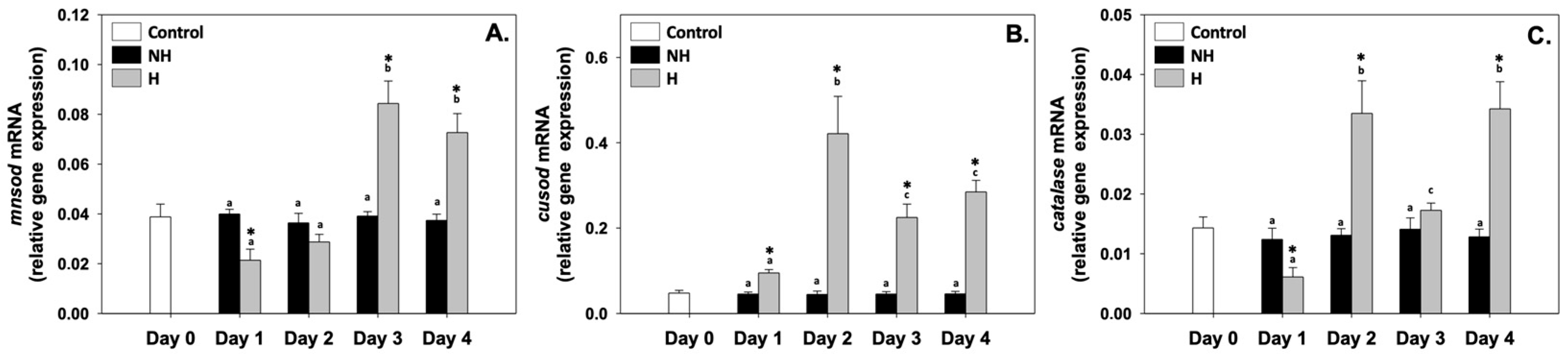 Antioxidants 14 01468 g005