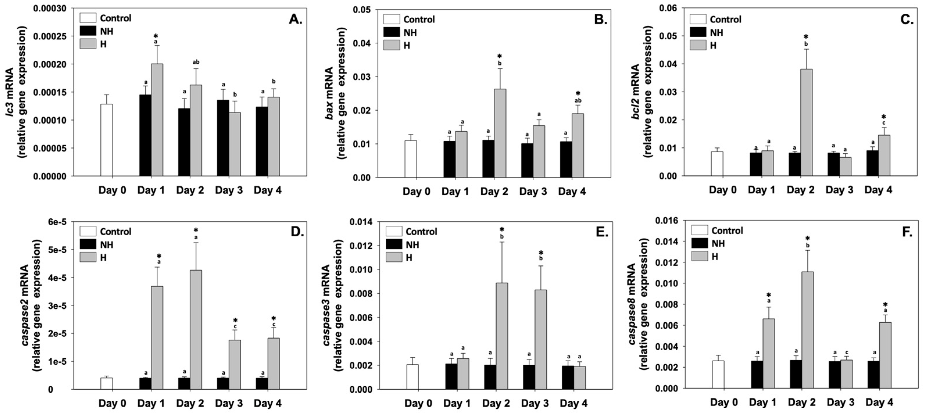 Antioxidants 14 01468 g006