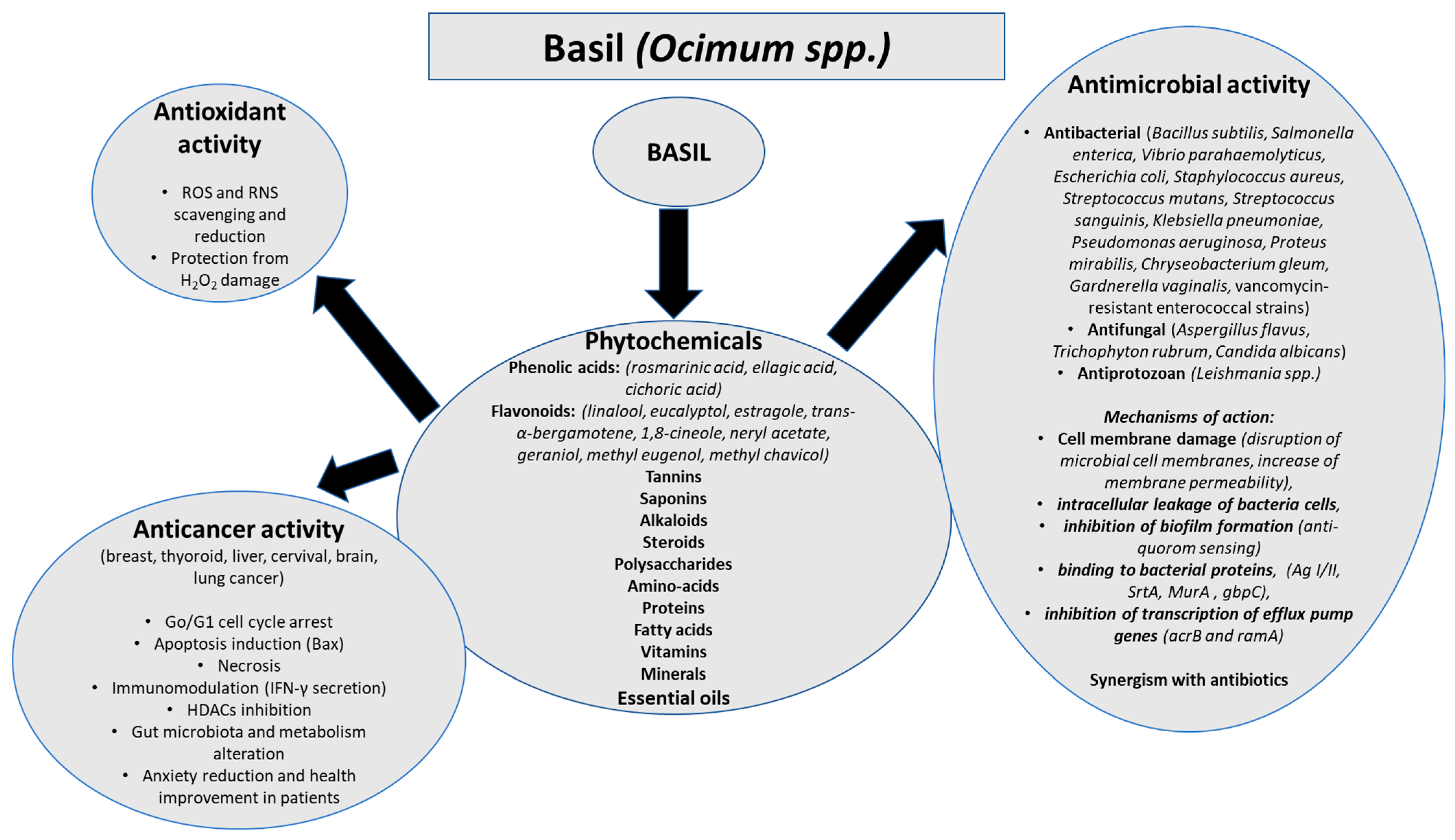 Antioxidants 14 01469 g001 Antioxidants 14 01469 g001