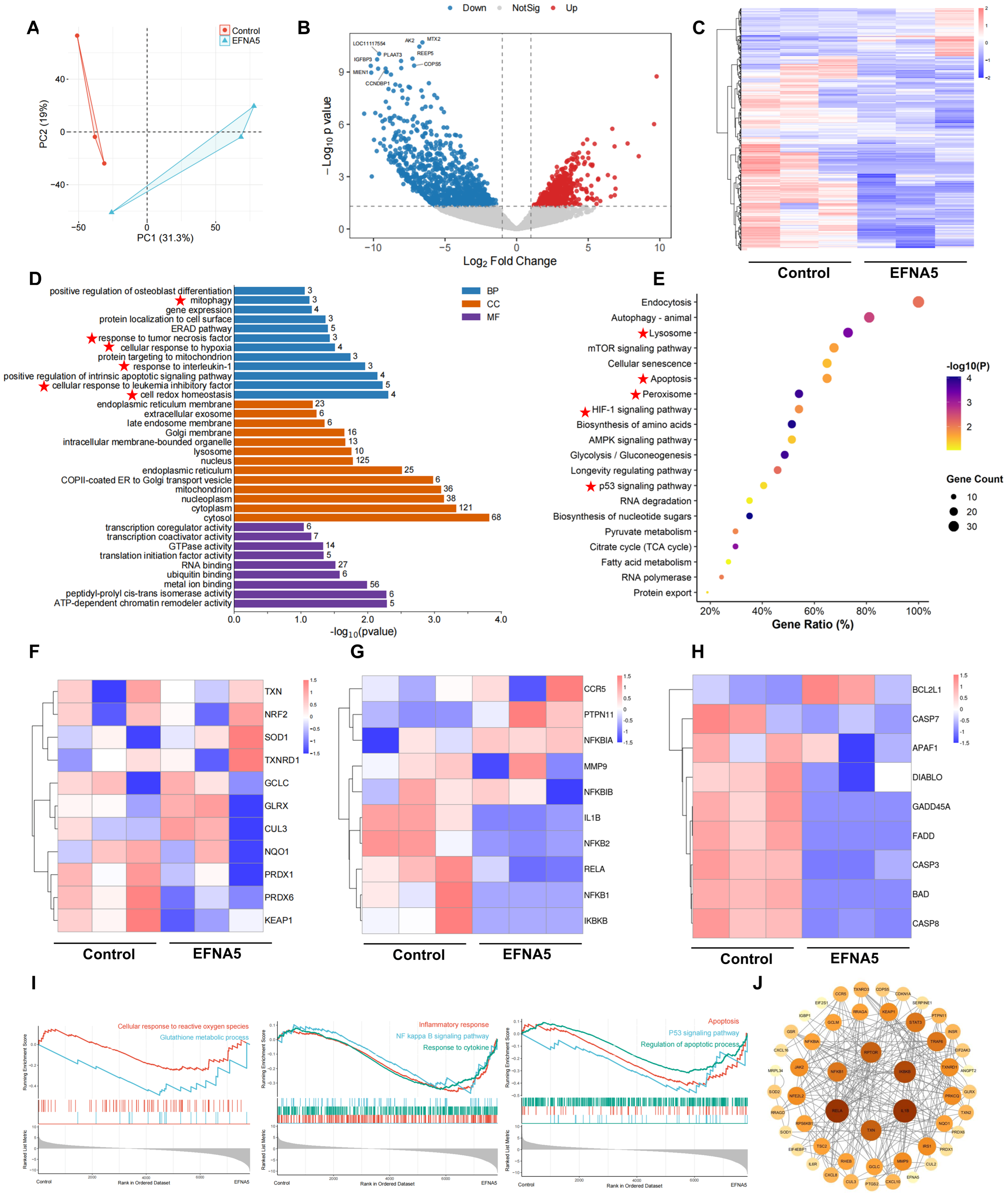 Antioxidants 14 01476 g004 Antioxidants 14 01476 g004