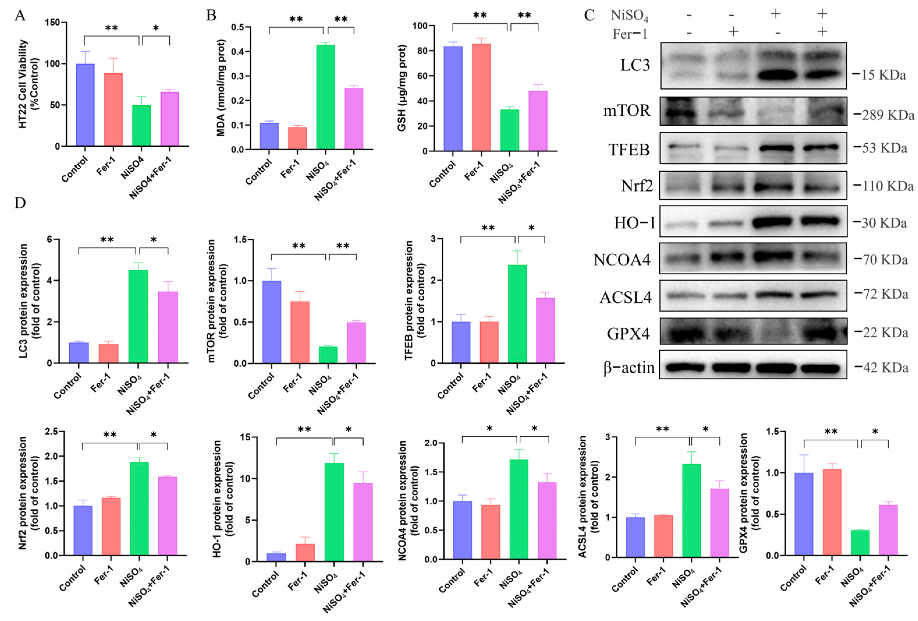 Antioxidants 14 01478 g007