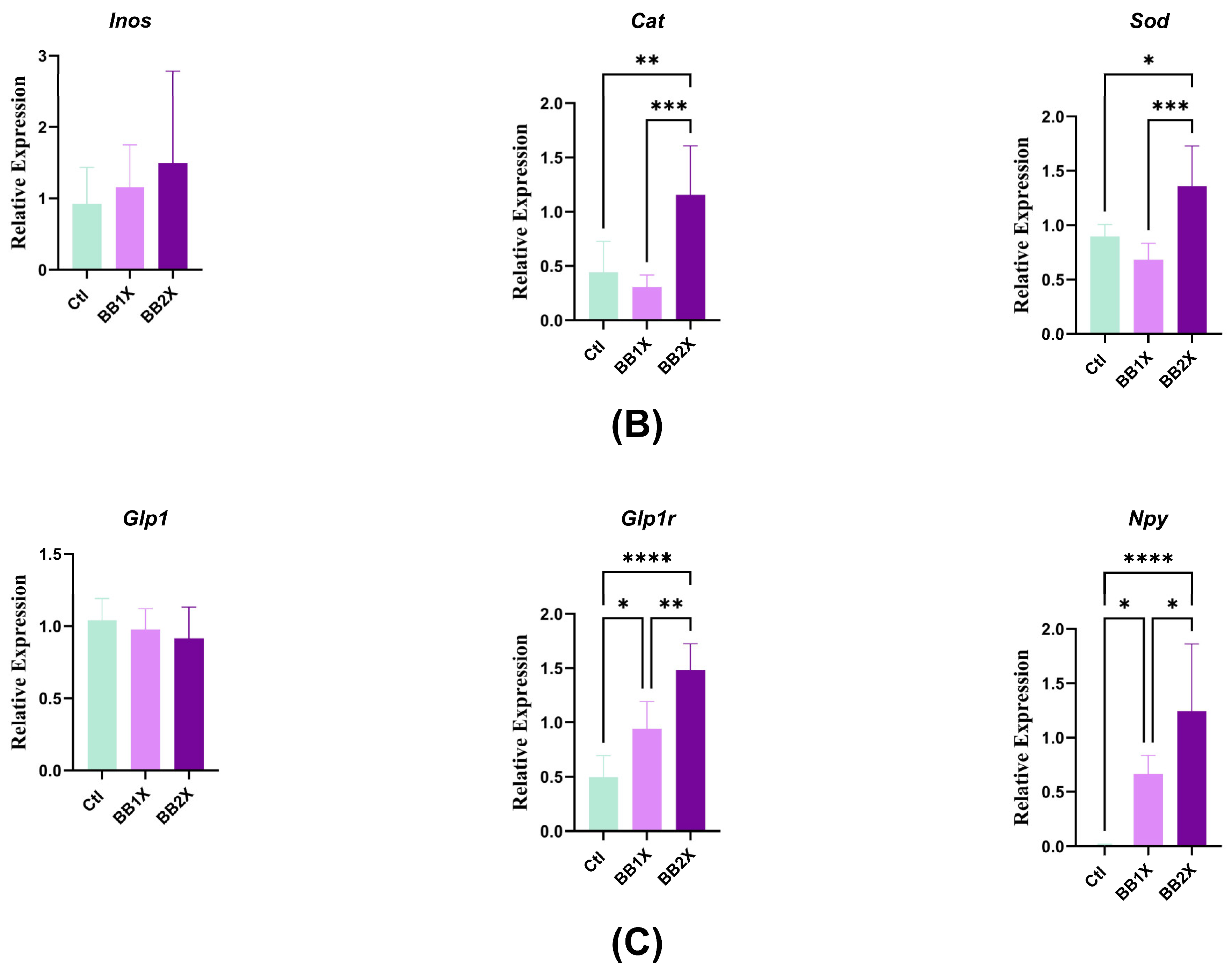 Antioxidants 14 01484 g003b Antioxidants 14 01484 g003b