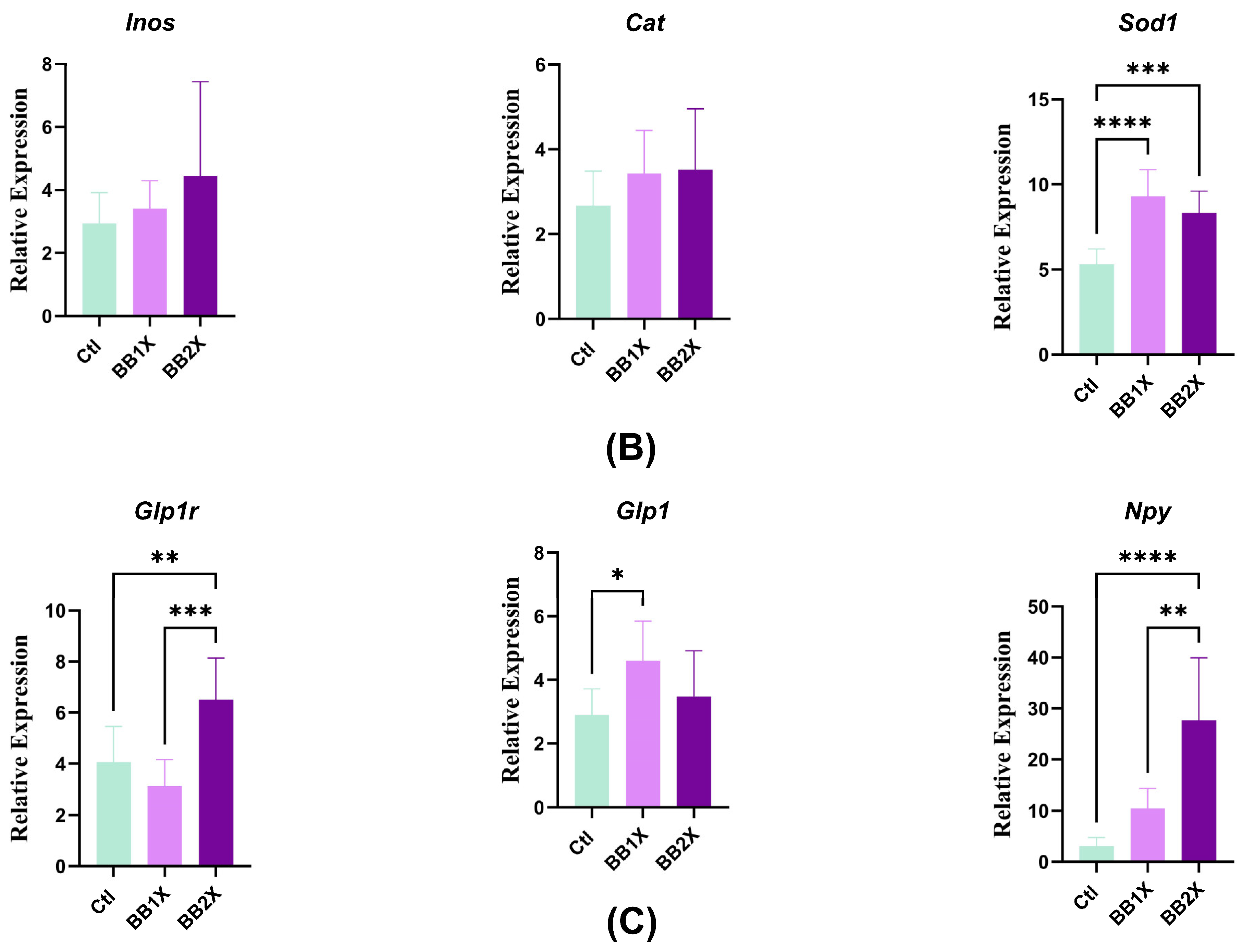 Antioxidants 14 01484 g004b Antioxidants 14 01484 g004b