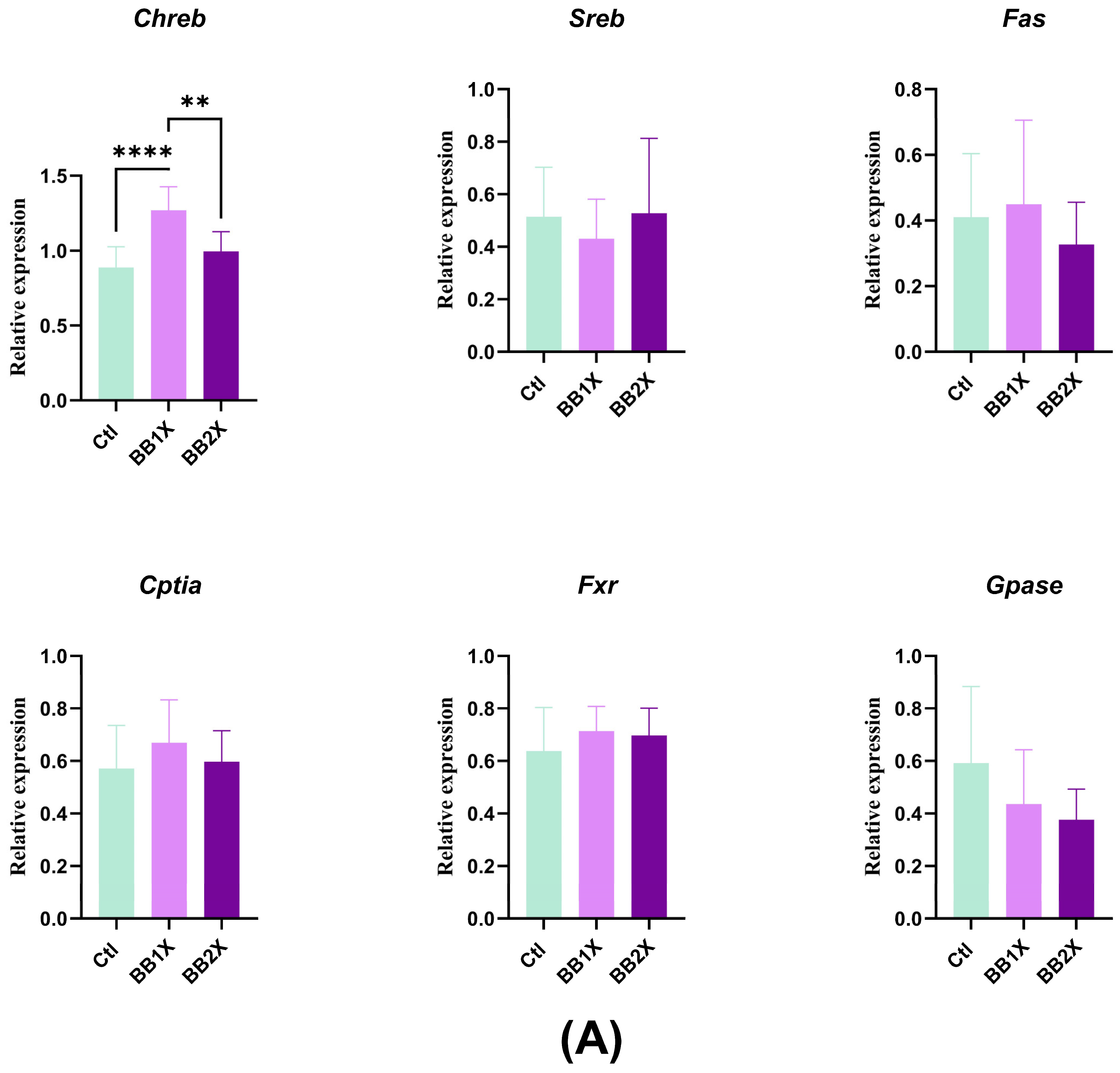 Antioxidants 14 01484 g005a Antioxidants 14 01484 g005a