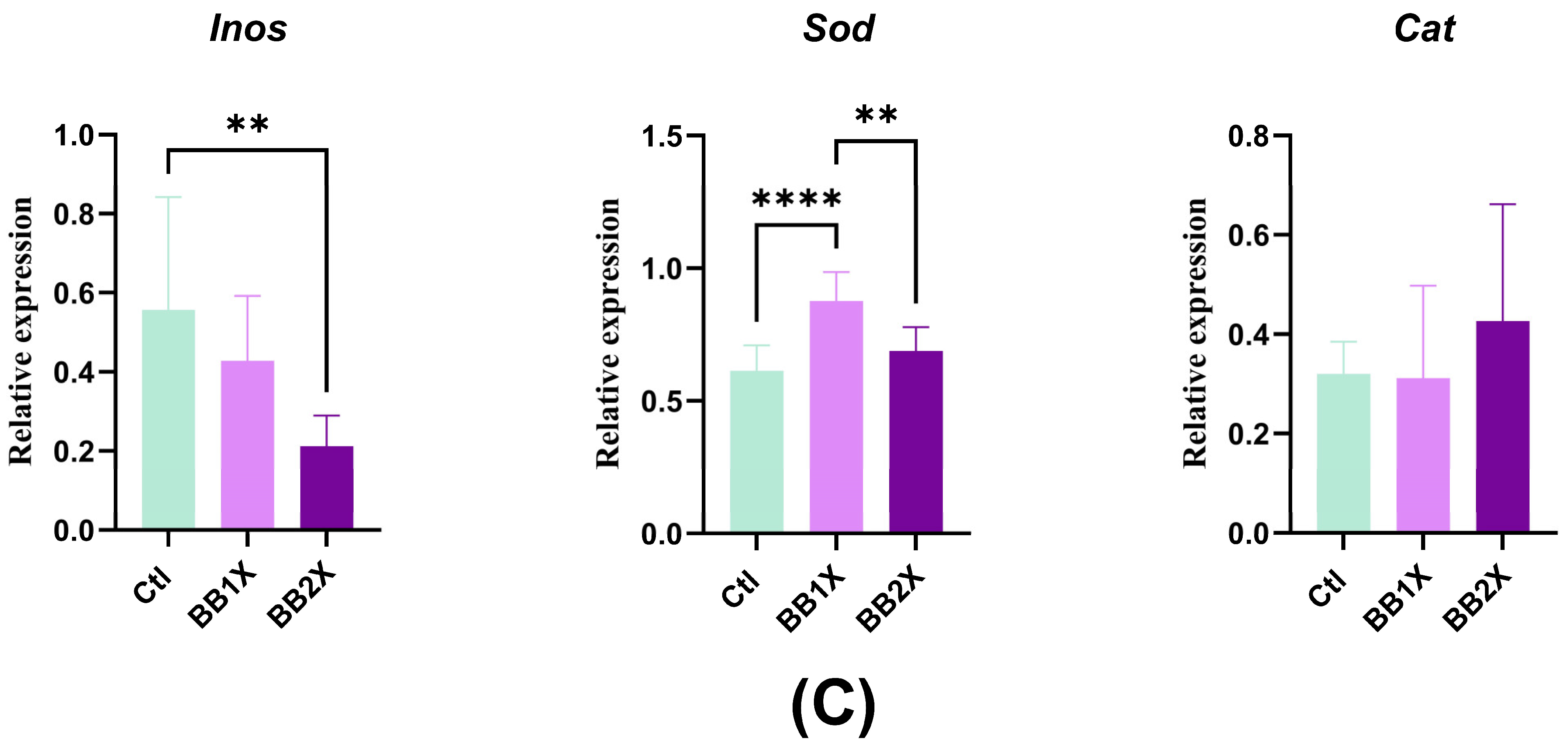 Antioxidants 14 01484 g005c Antioxidants 14 01484 g005c