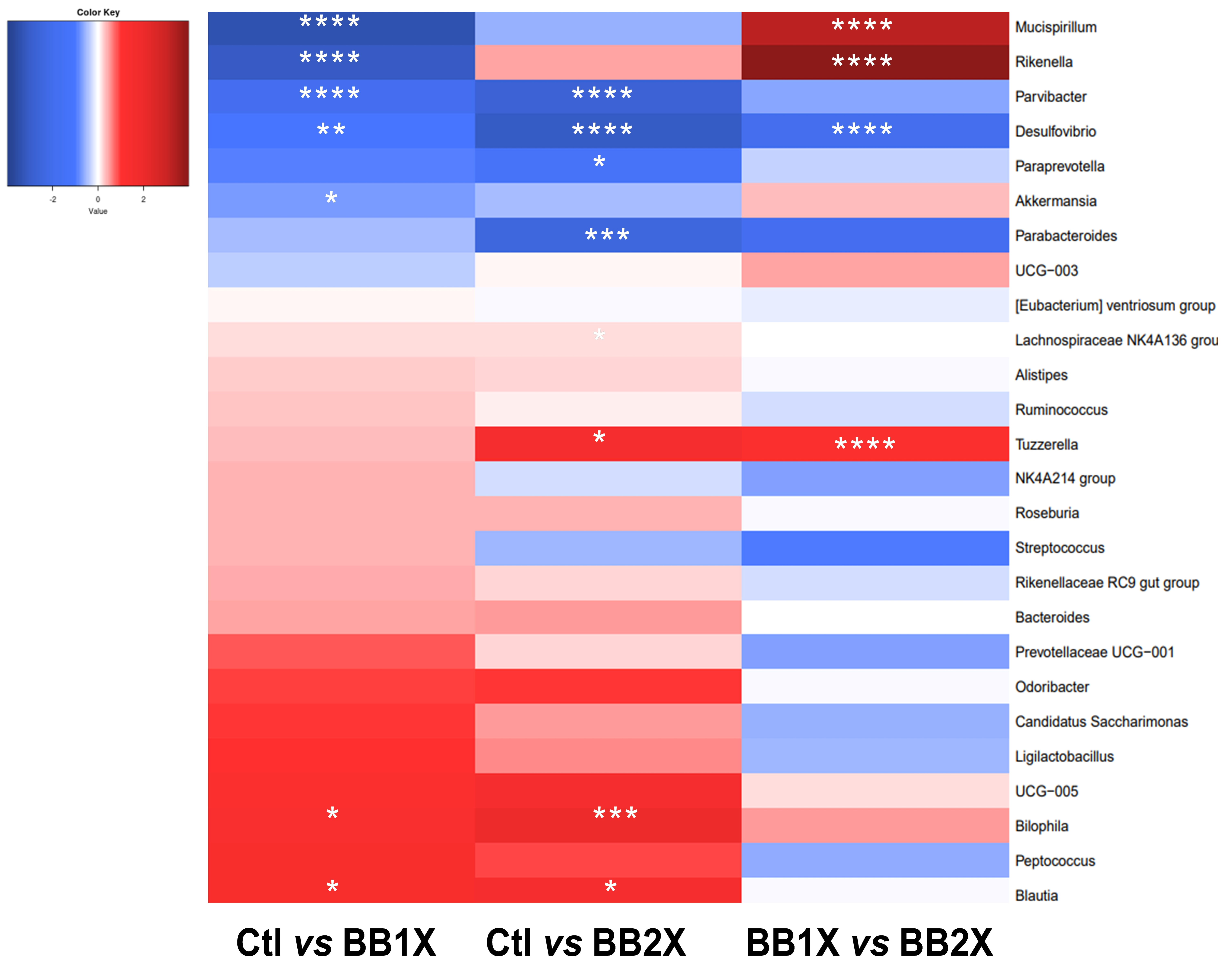 Antioxidants 14 01484 g007 Antioxidants 14 01484 g007