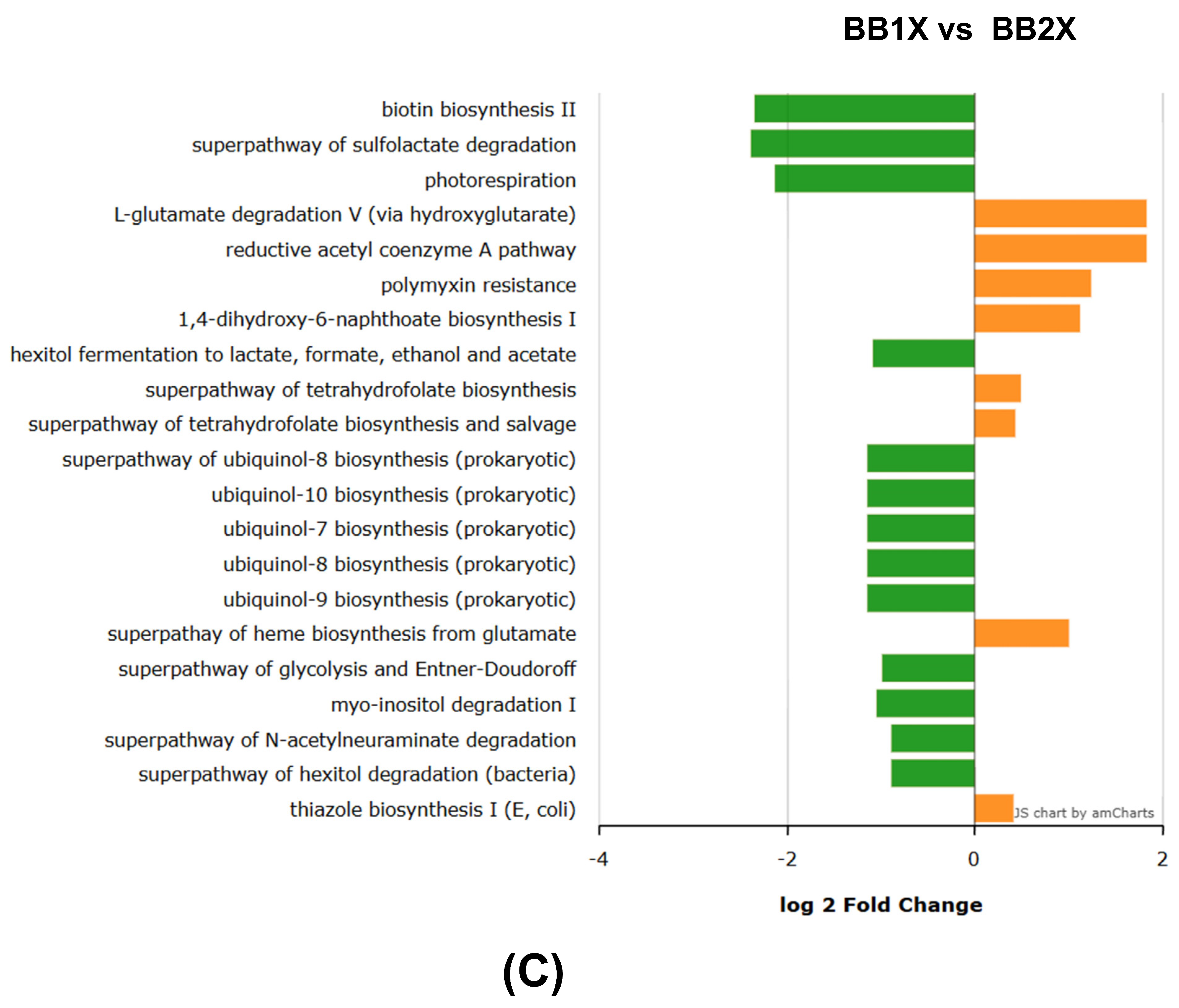 Antioxidants 14 01484 g008b Antioxidants 14 01484 g008b