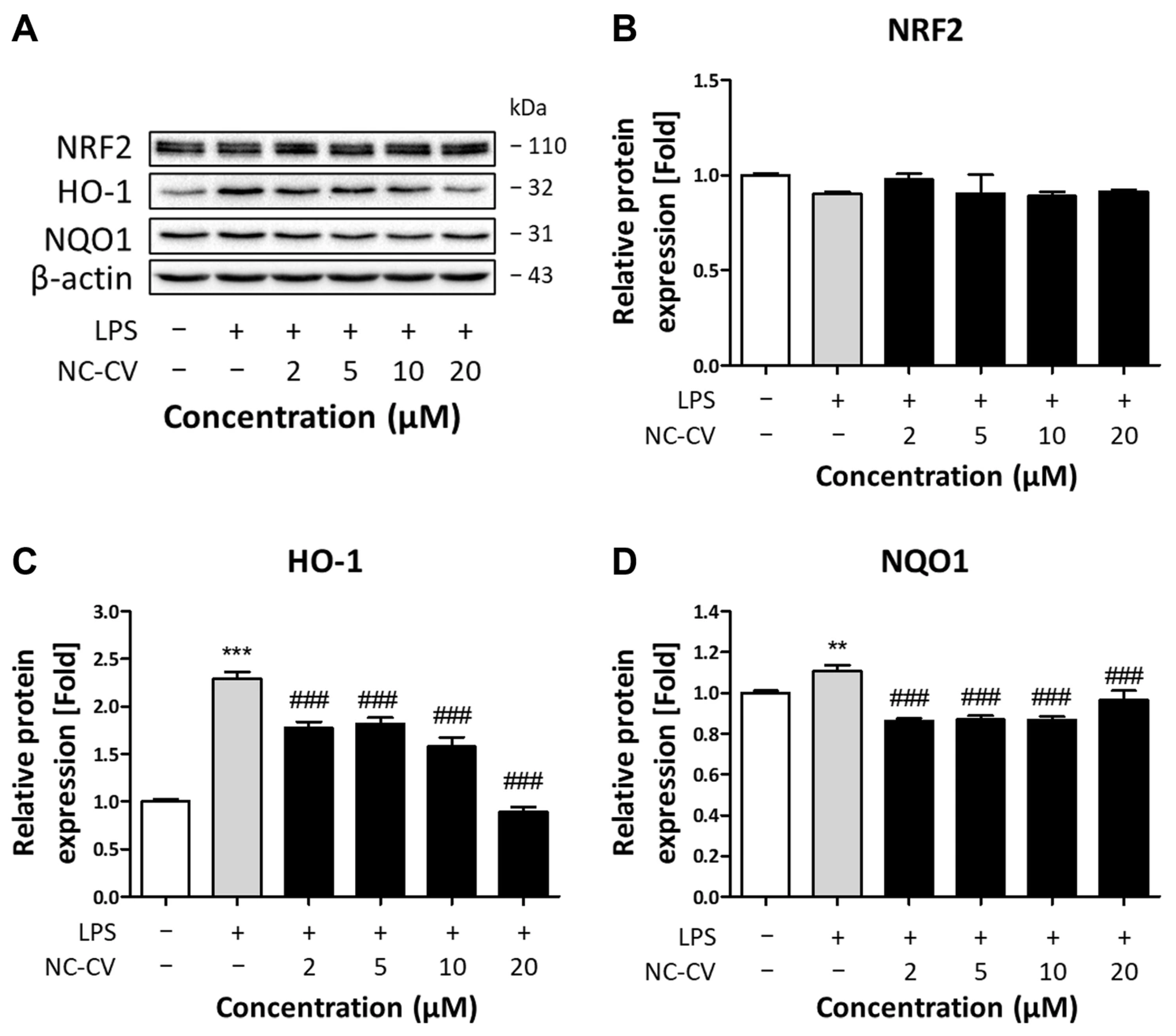 Antioxidants 14 01485 g006