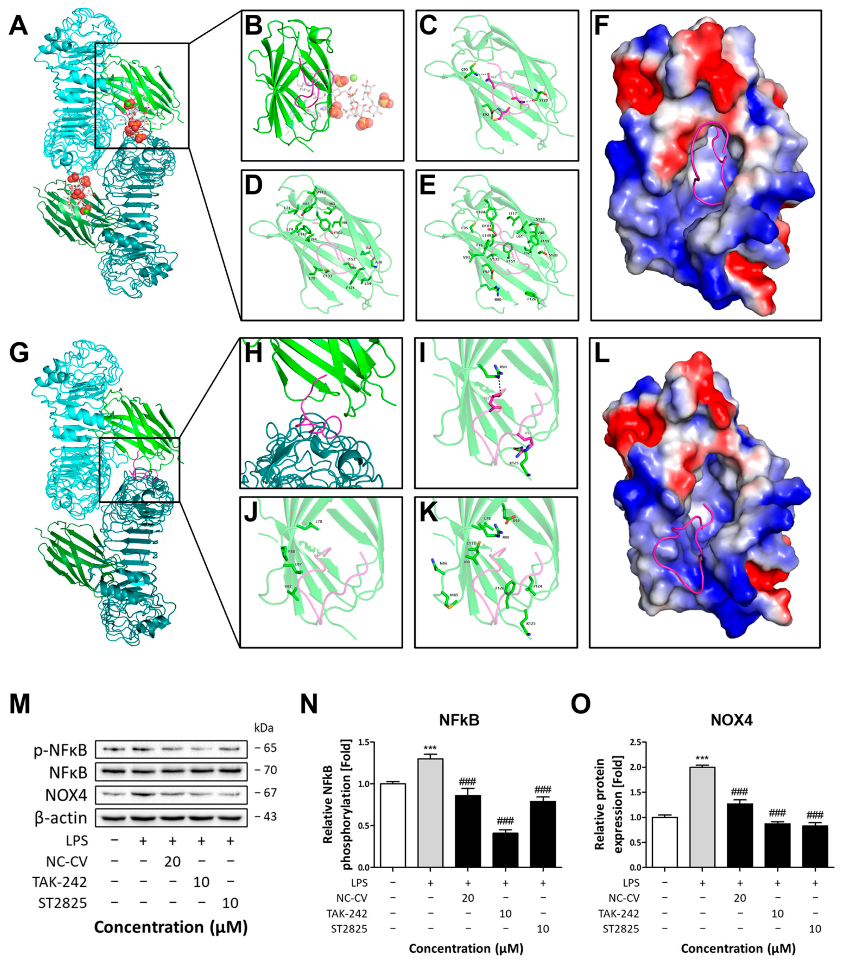 Antioxidants 14 01485 g008