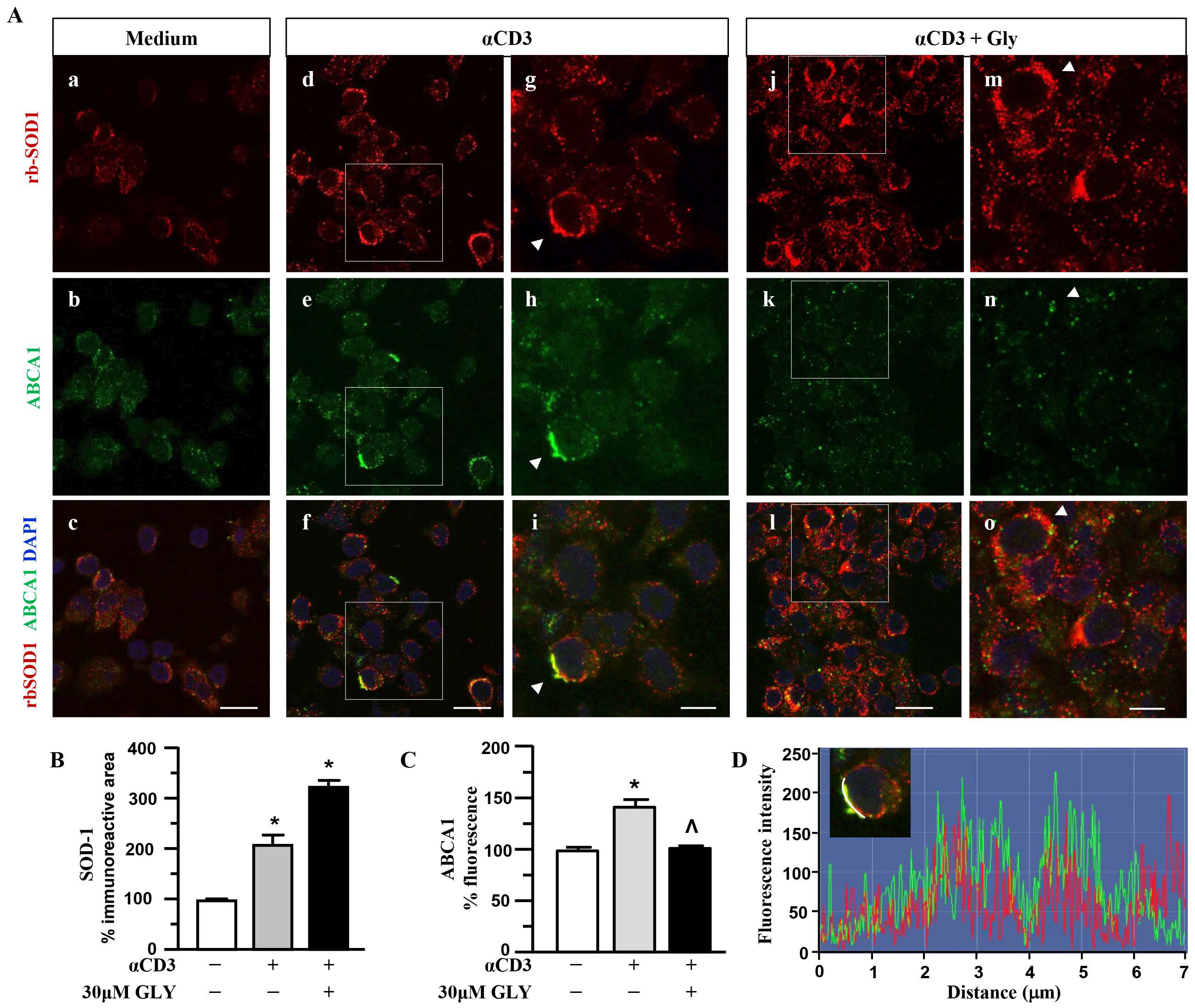 Antioxidants 14 01487 g004 Antioxidants 14 01487 g004