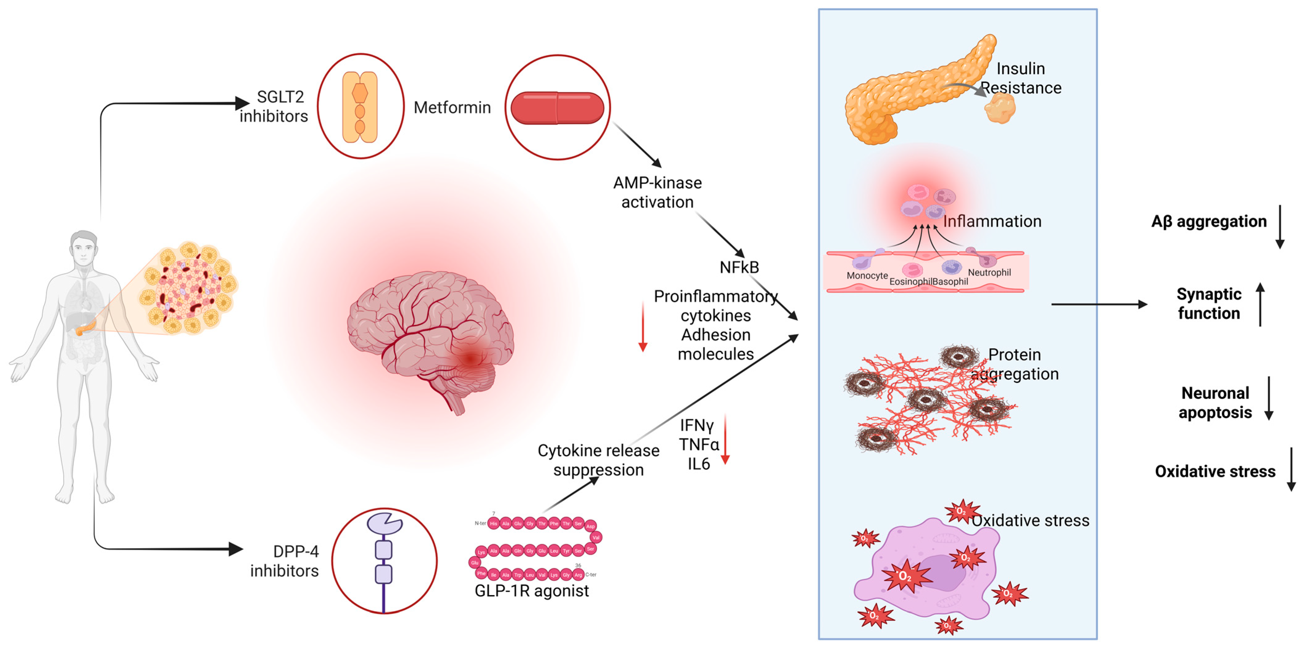 Antioxidants 14 01490 g006 Antioxidants 14 01490 g006