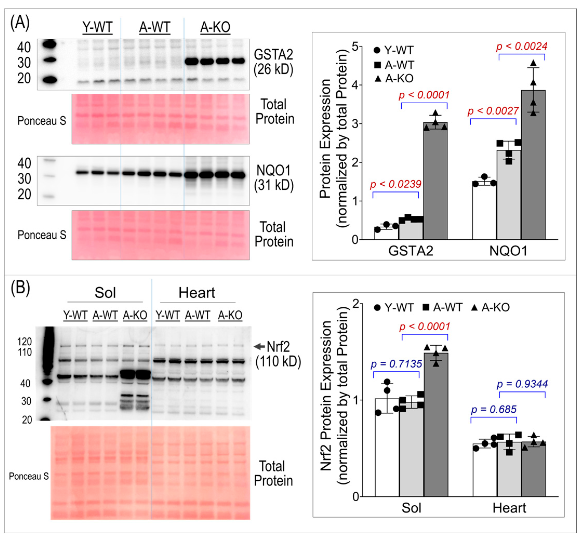 Antioxidants 14 01491 g002