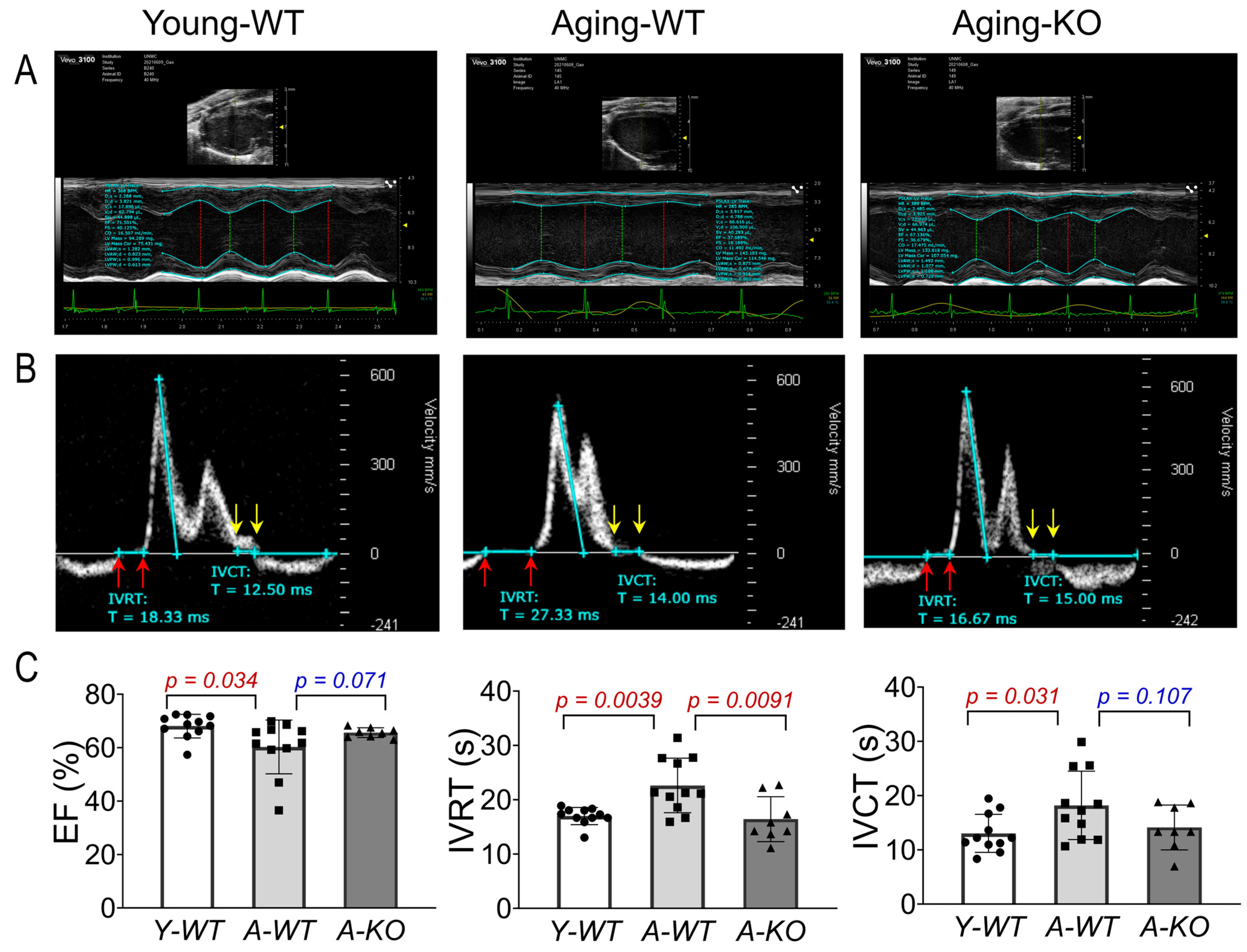 Antioxidants 14 01491 g003