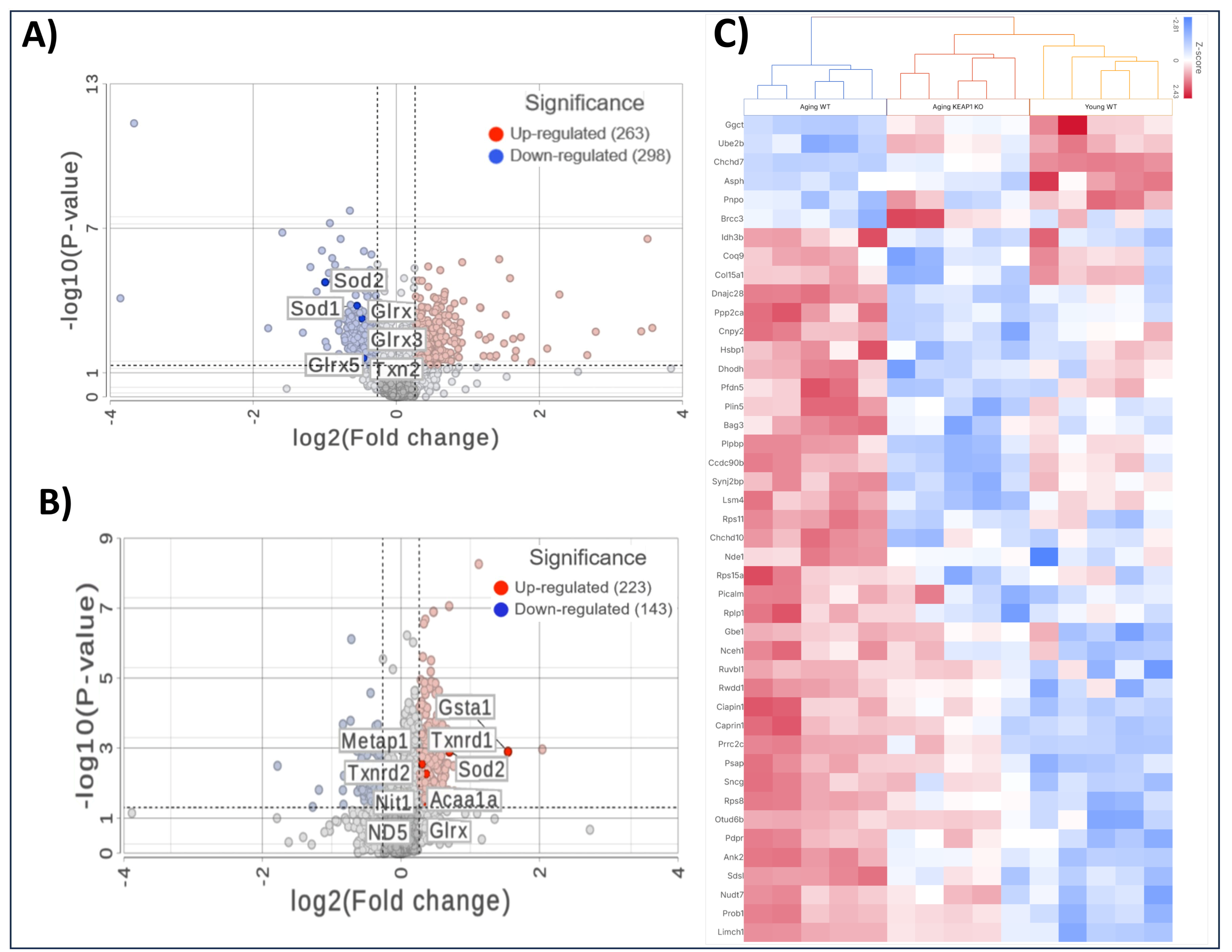 Antioxidants 14 01491 g006