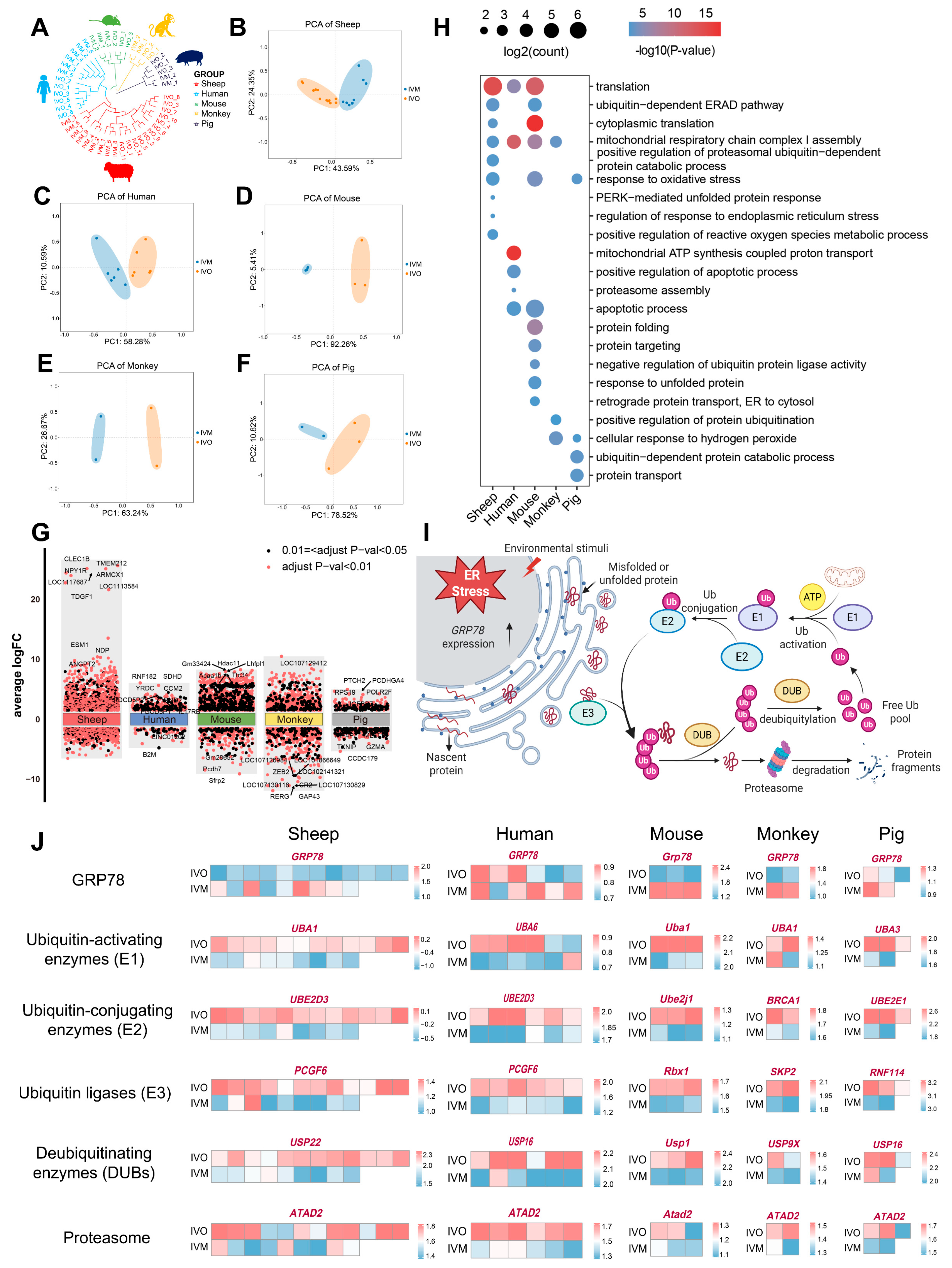 Antioxidants 14 01499 g003 Antioxidants 14 01499 g003