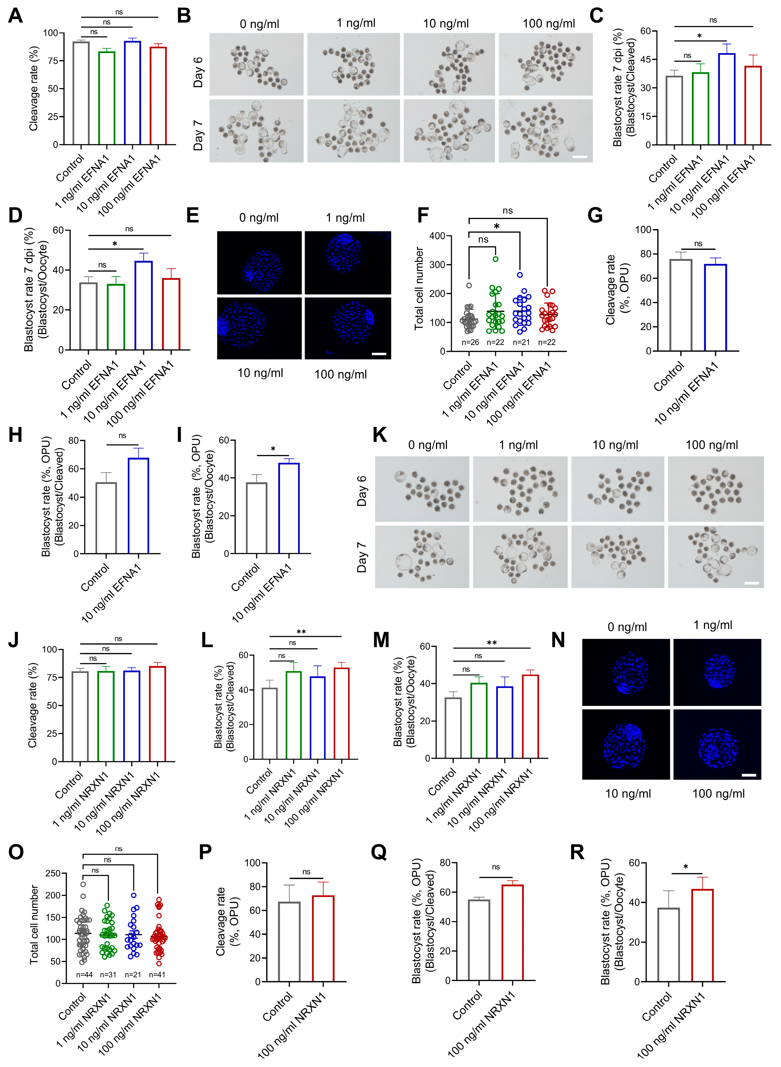 Antioxidants 14 01499 g005 Antioxidants 14 01499 g005